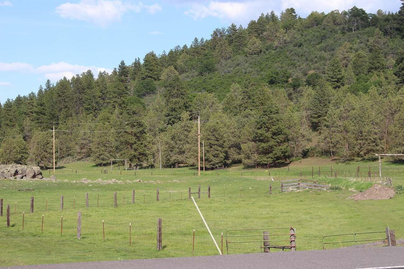 N/A - Farm