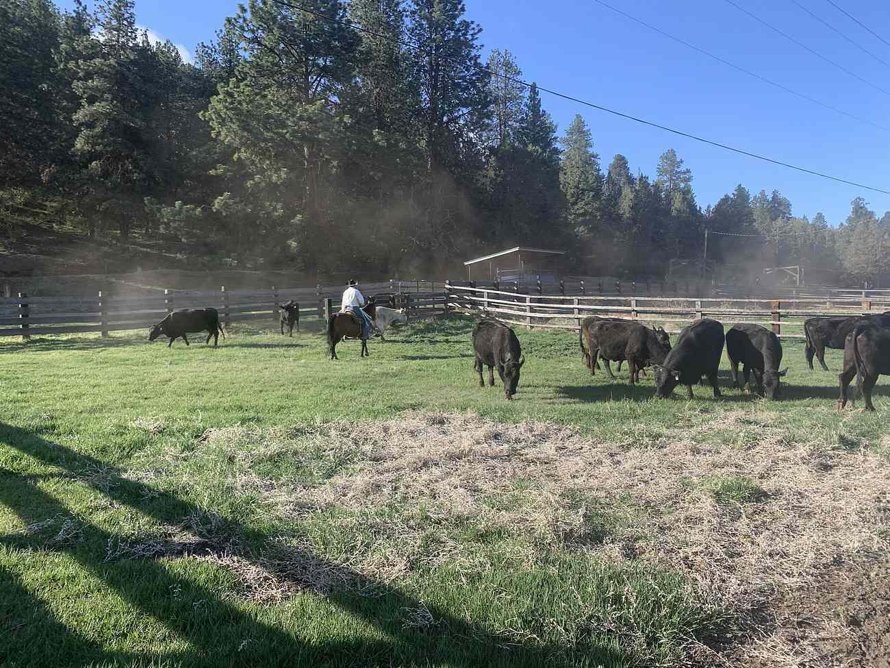 N/A - Farm