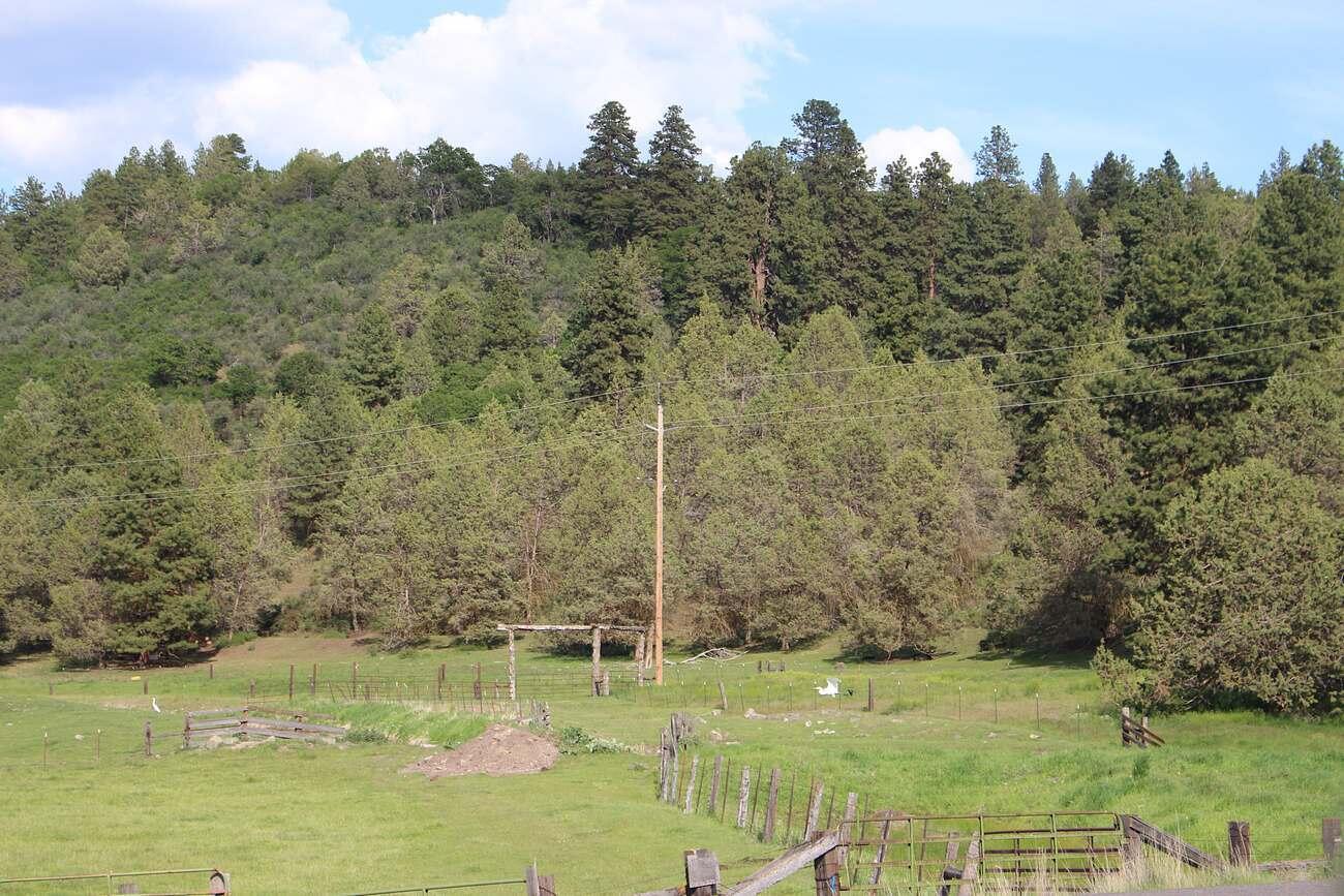 N/A - Farm