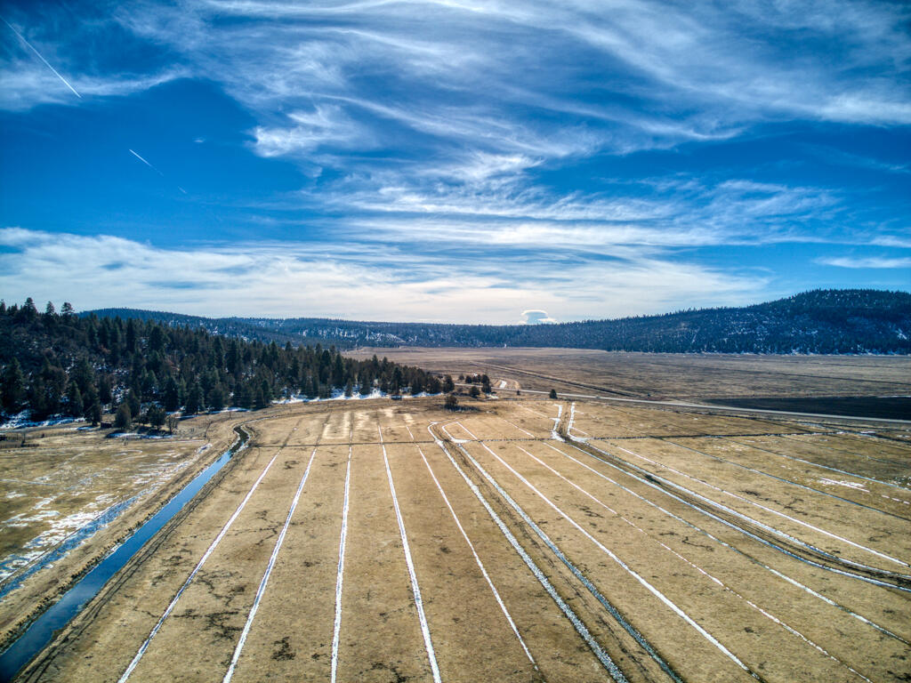 N/A - Farm