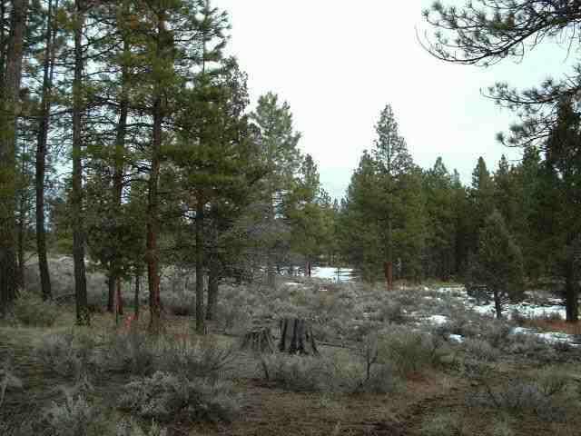 120' Deep Well Per Log However Art Fry (533-2210 Or Cell 892-1020) Tested Well Found Only 11 Feet Of Water. Well Needs Deepening. With Good Credit Report $4000 Down. Power Over 1,000 Feet Away.