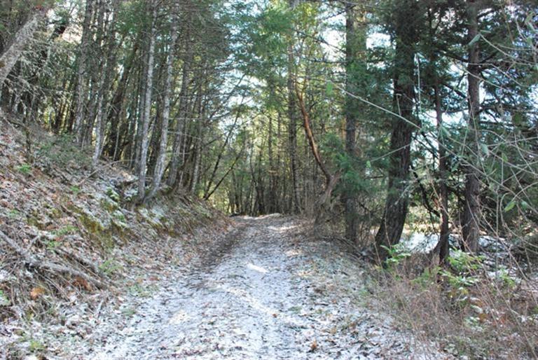 Rural 40 acres on Redwood Highway across from Arrowhead Drive. Driveway is in to location of expired dwelling development permit. Multiple types of terrain with trails though out the 40 acres.