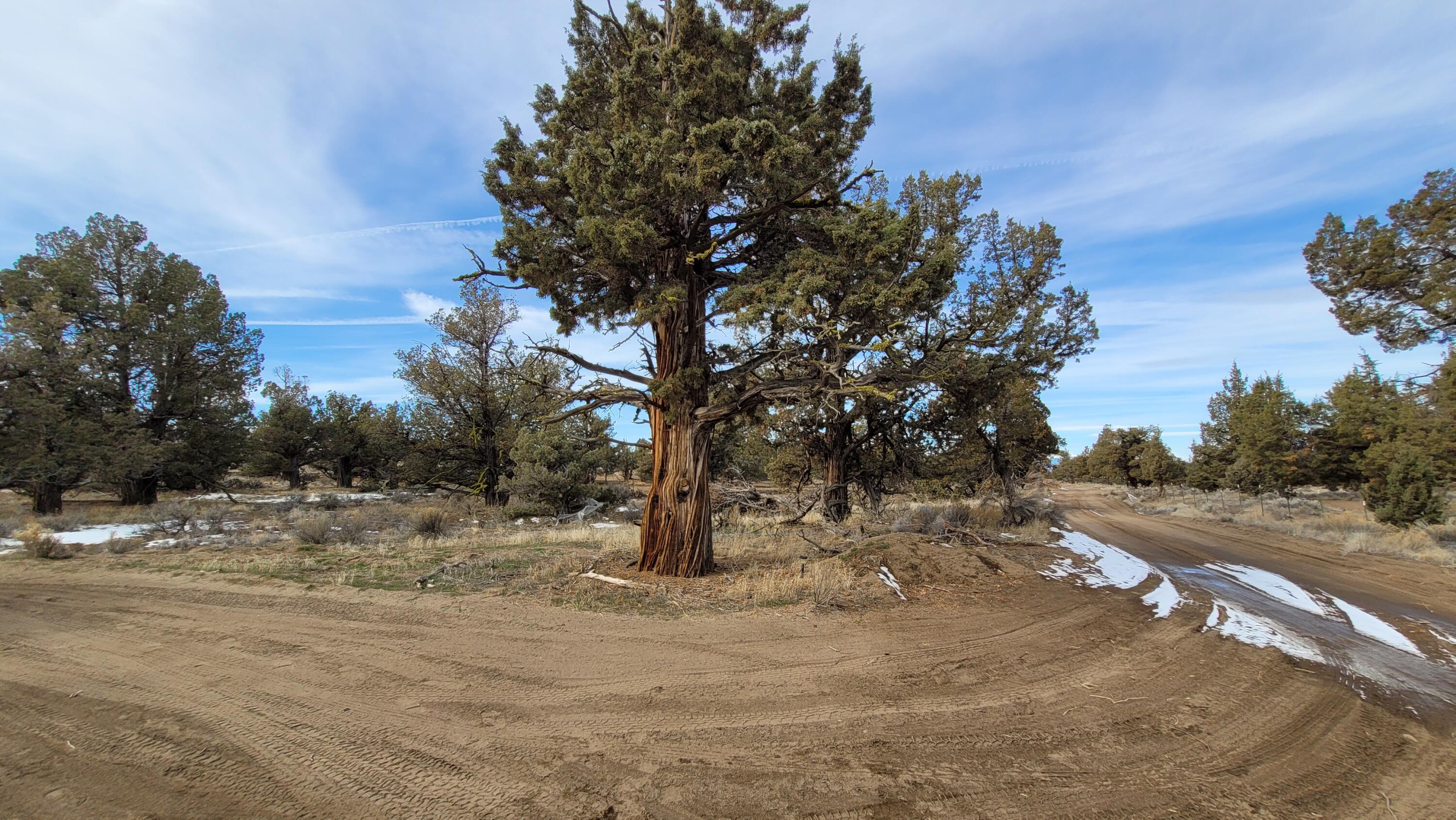 Come and enjoy this recreational 5-acre lot, off grid with the atmosphere of Central Oregon for star gazing, camping, ATV, boating or fishing. OHV area and Prineville Reservoir nearby. There is an old single wide mobile home on lot & has no value. Owner will not carry!