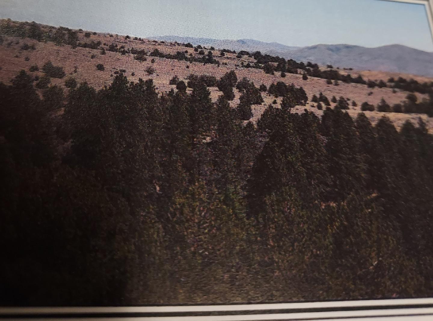 Nice property that is very private and adjoins BLM.  Lots of elk