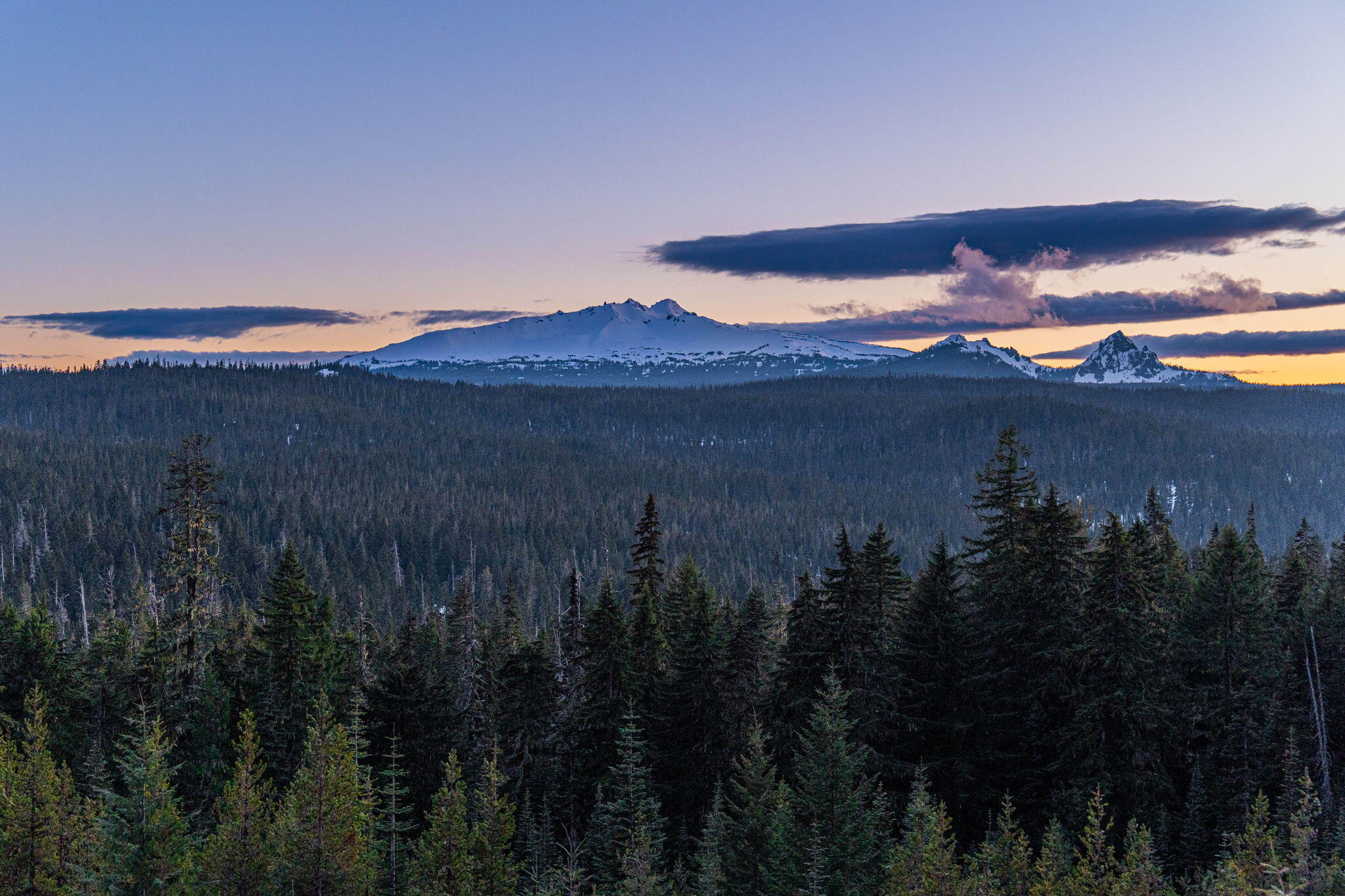 Embrace the natural beauty of Diamond Peaks with this 2.11-acre parcel, perfectly positioned for your dream retreat.Lot 1 backs to the Willamette National Forest on two sides, offering rare privacy and direct wilderness access. A sunny, south-facing hillside provides abundant light, with year-round paved access and on-site power in place. An additional 1.67-acre lot next door is also available, together both parcels are $699K. Seller open to OWC terms. Just 7 minutes from Willamette Pass Ski Resort, about 1 hour from Bend, and 1.5 hours from Eugene, this location blends serenity with convenience. Outdoor enthusiasts will love the nearby Pacific Crest Trail, plus world-class hunting, fishing, hiking, and winter cross-country skiing. Don't miss this rare opportunity to own your slice of Diamond Peaks.