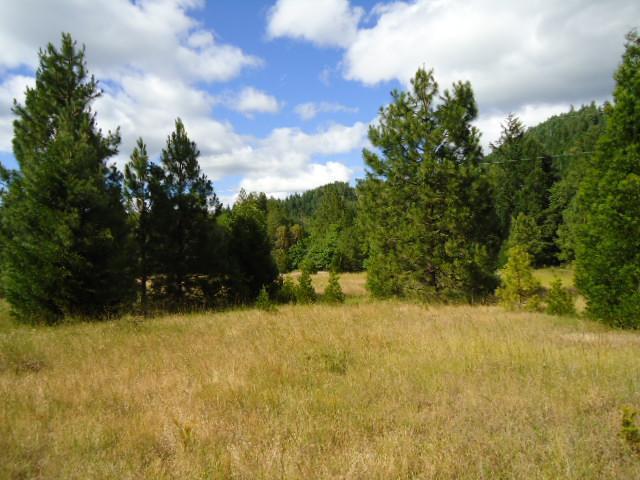 Bring your plans and dreams of a new home on this beautiful, level homesite on 3 acres with scattered trees and frontage on Thompson Creek. Located just about a mile past Lake Selmac in rural Southern Oregon. Power is available and it's been approved for a septic system.