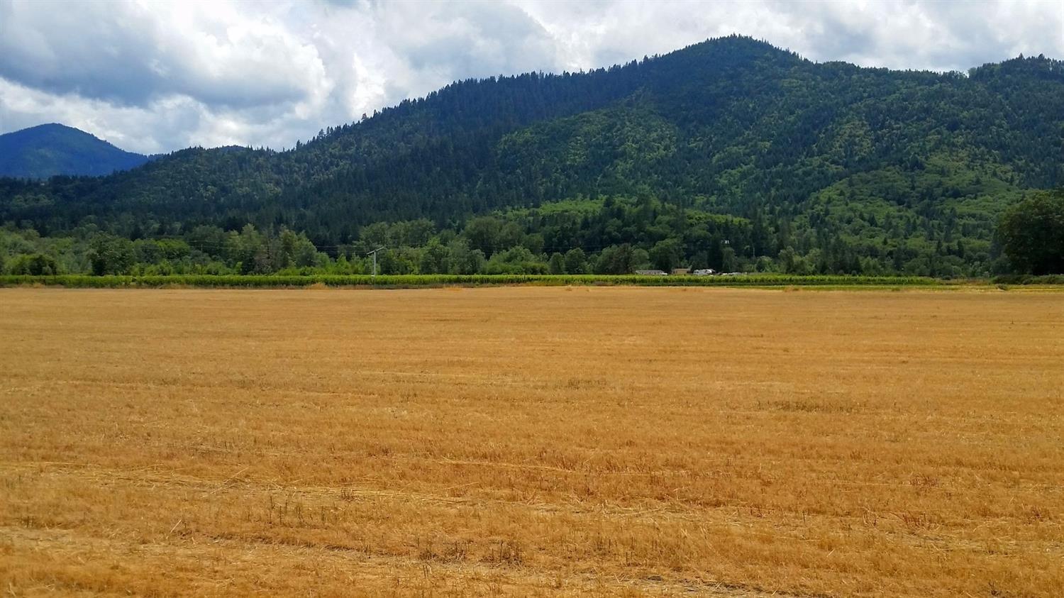 The search is over! This Wilderville, OR vineyard truly has it all. With over 126 total acres, this unique property has more to offer than any currently on the market today. The 30 acre vineyard consisting mostly of Pinot Noir was planted from 2009-2013 and is impeccable in performance and beauty. The property also has 30+/- acres to plant more grapes or the crop of your choice (currently in hay production). The water rights from the Applegate River date back to 1899! The vineyard is 100% deer fenced and orchard fans for frost protection. The second parcel to this amazing property is the 48 acre private Water Park. With nearly 1.5 miles of Applegate River frontage, this park is a fisherman's and water fowl lover's dream! You must truly experience this one of a kind property to get it's full effect. Only 8 short miles to downtown Grants Pass, the Wilderville vineyard is the escape you've been waiting for! Call today for a personal tour.