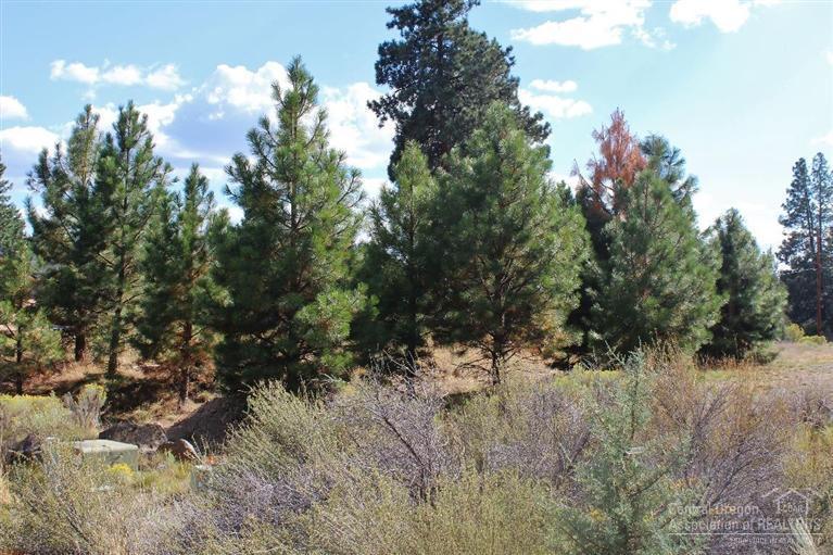 Desert Woods - Land