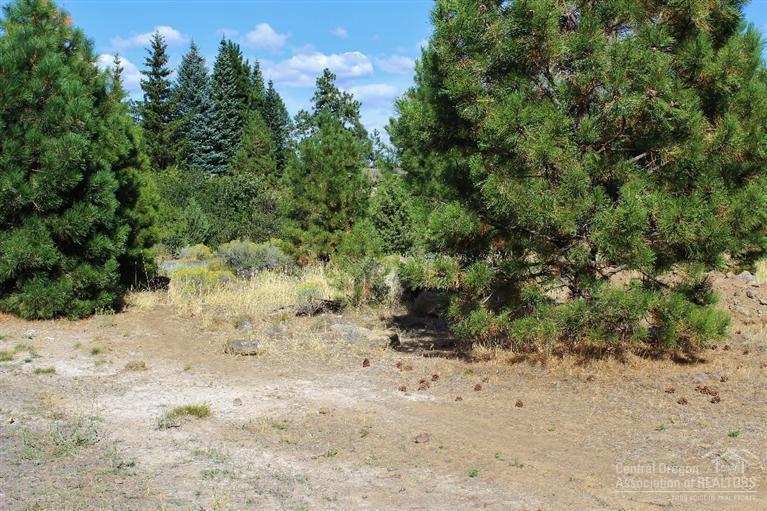 Very large lot with lots of pine trees, possibility of future split when sewer gets to lot.