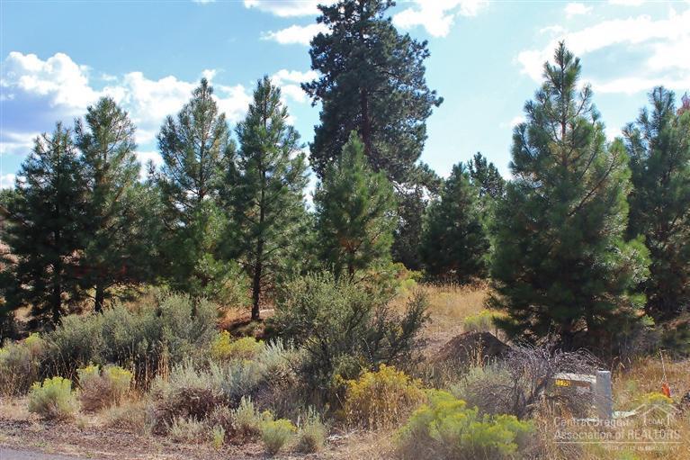 Desert Woods - Land