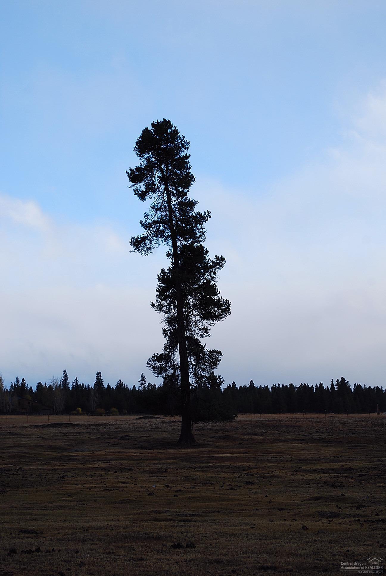 CLAL - Land