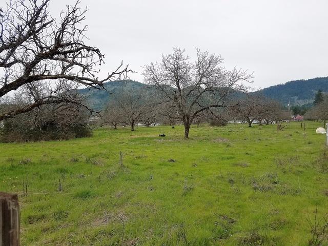 Nice level 2.75 acres in the country, but not far from town and close to Cathedral Hills riding trails. This old walnut orchard still has many trees left on it. Beautiful views of the mountains, this would make a lovely home site, with room to roam. Bring your builder, plans & imagination!