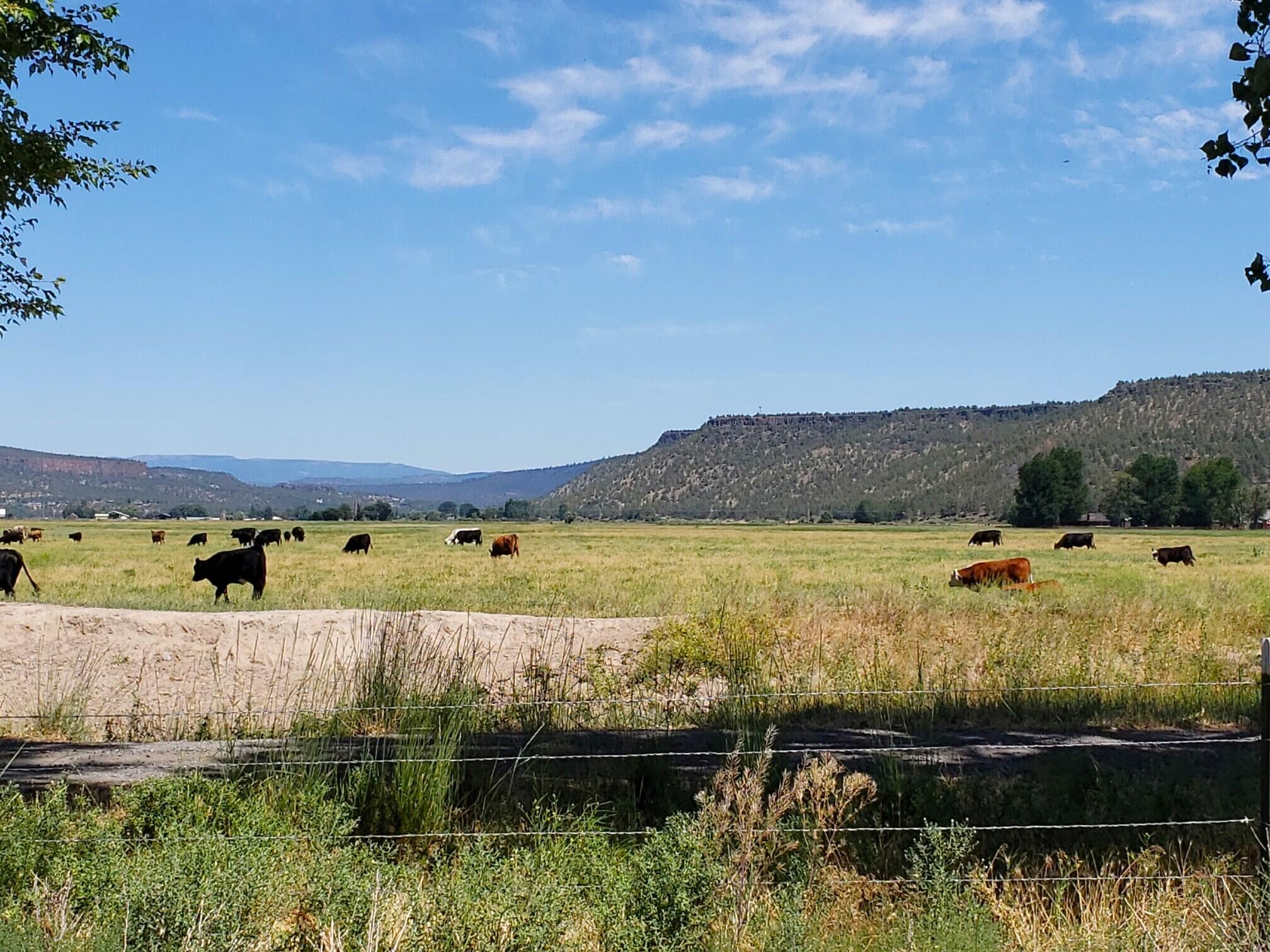 Crystal Springs - Residential