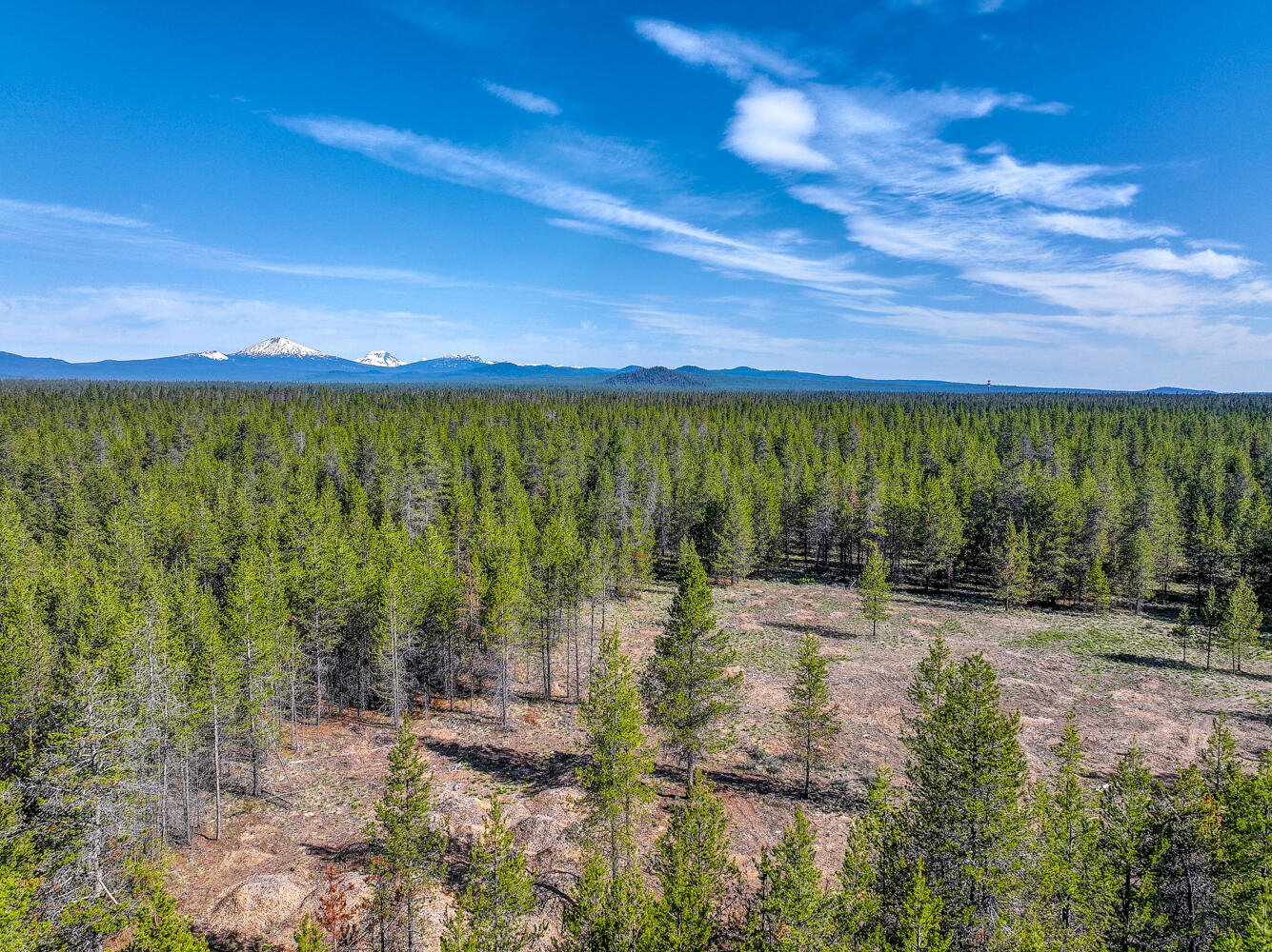 Pinewood Country Est - Land
