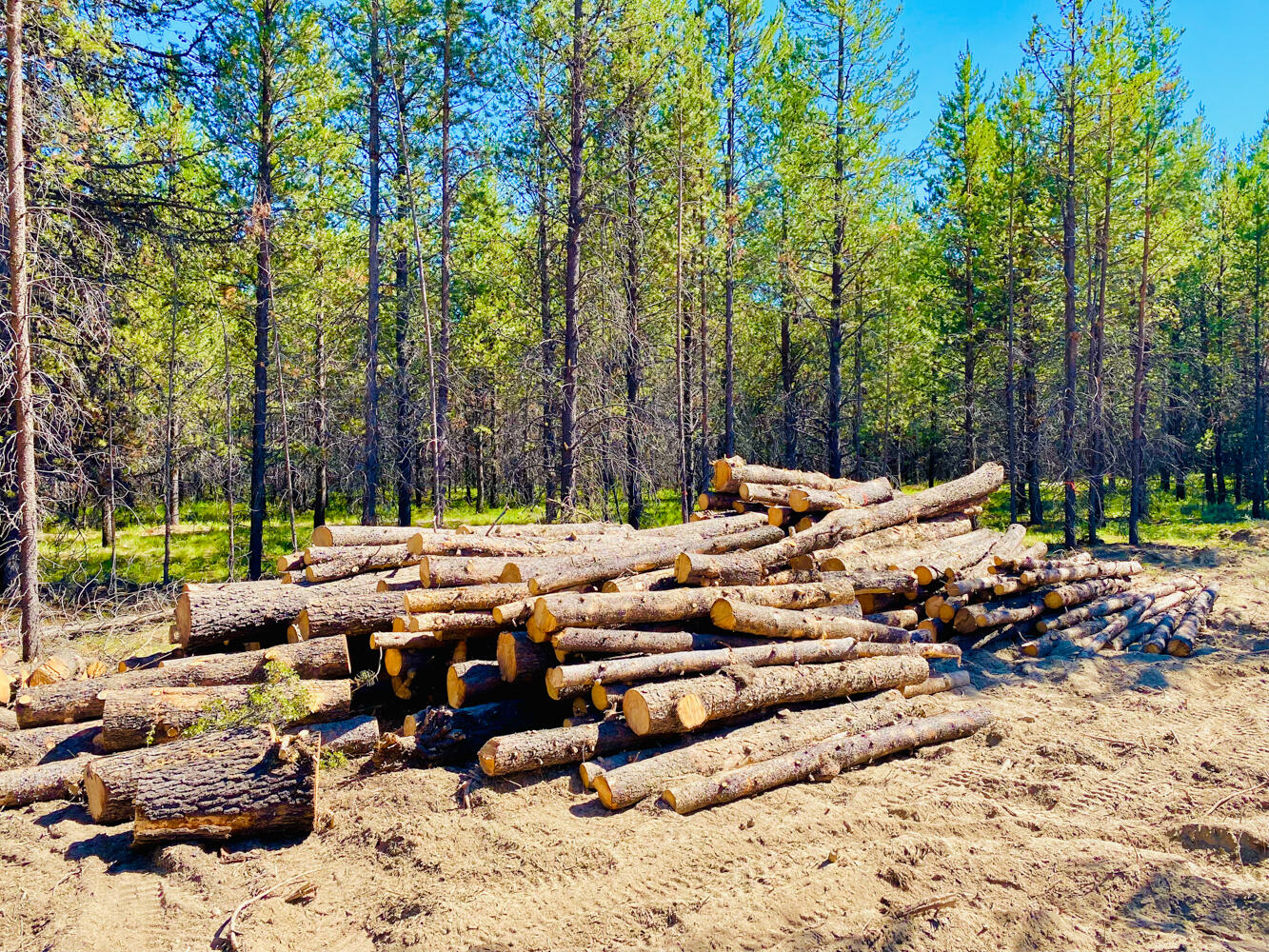 Pinewood Country Est - Land