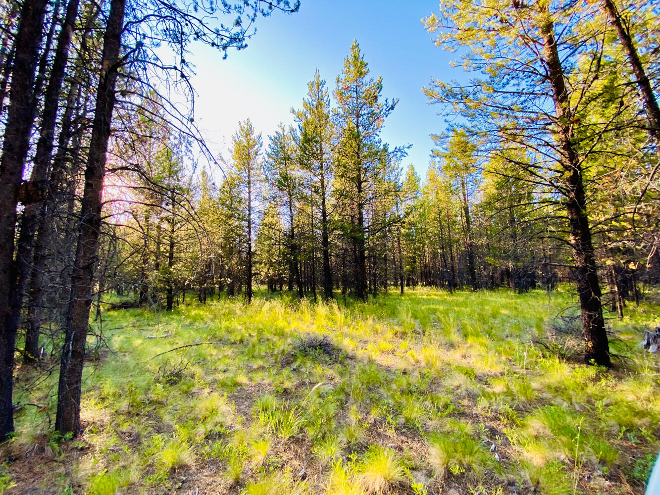 Pinewood Country Est - Land