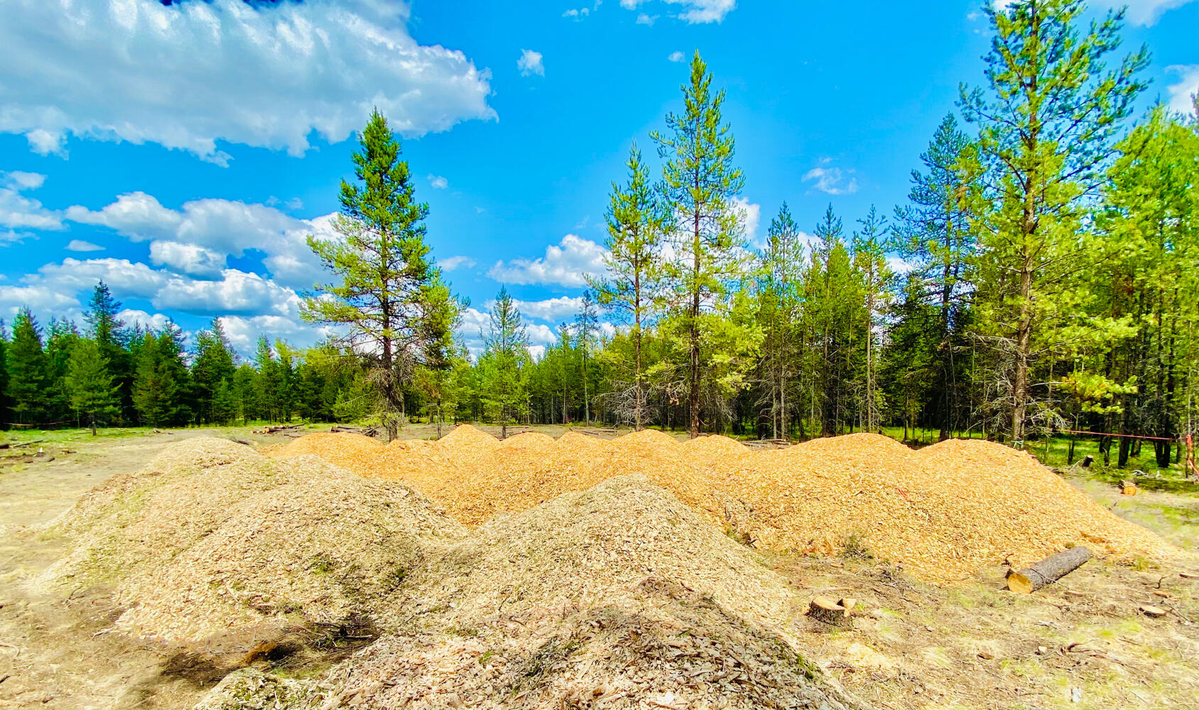 Pinewood Country Est - Land