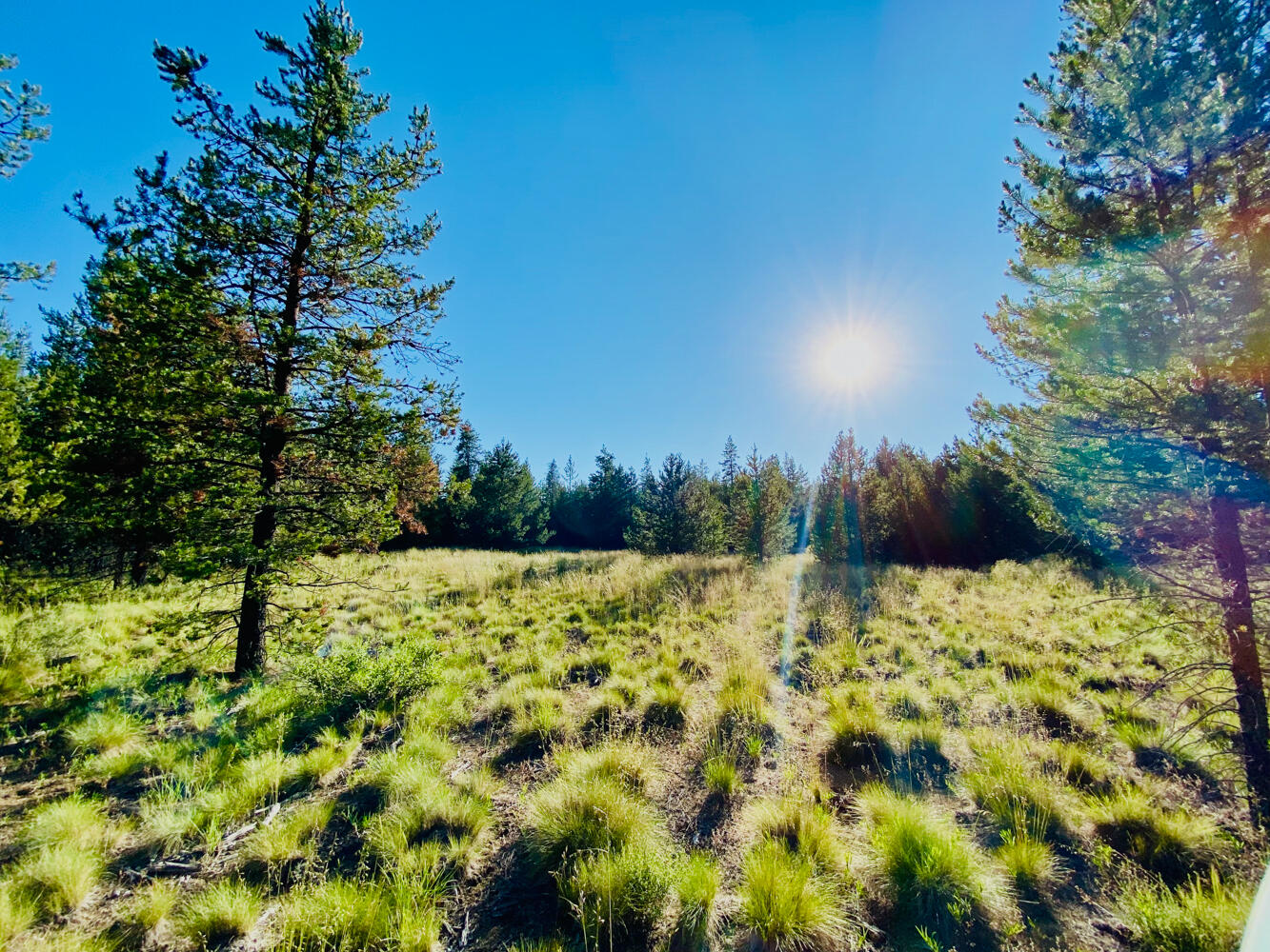 Pinewood Country Est - Land