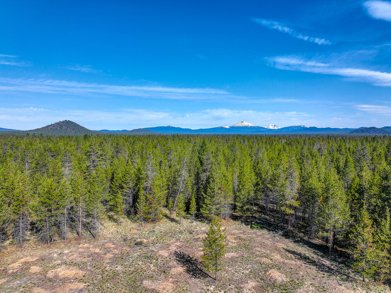 Pinewood Country Est - Land