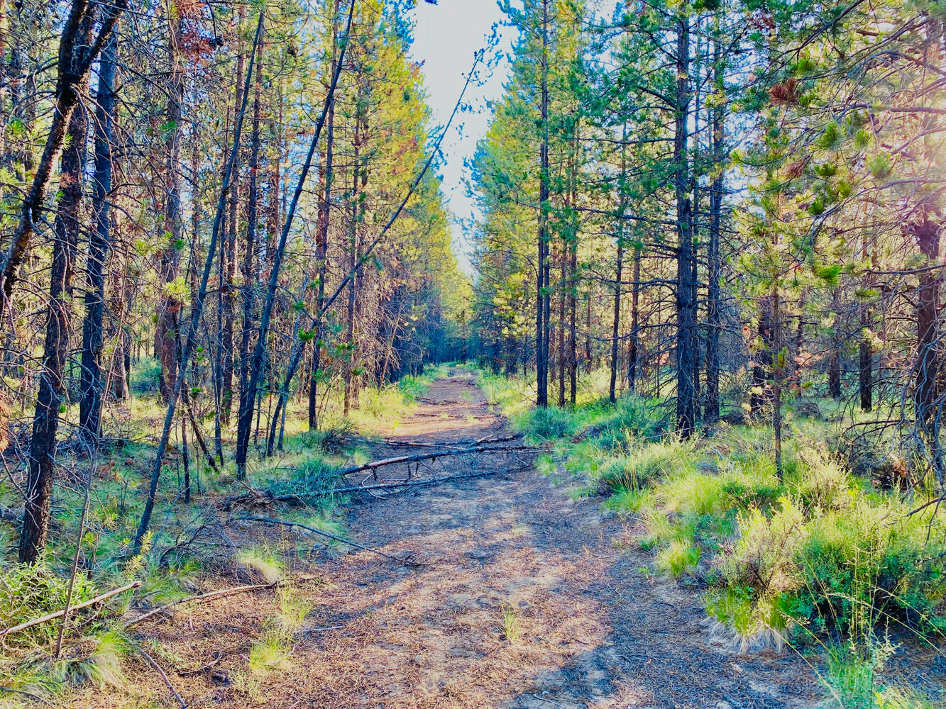 Pinewood Country Est - Land
