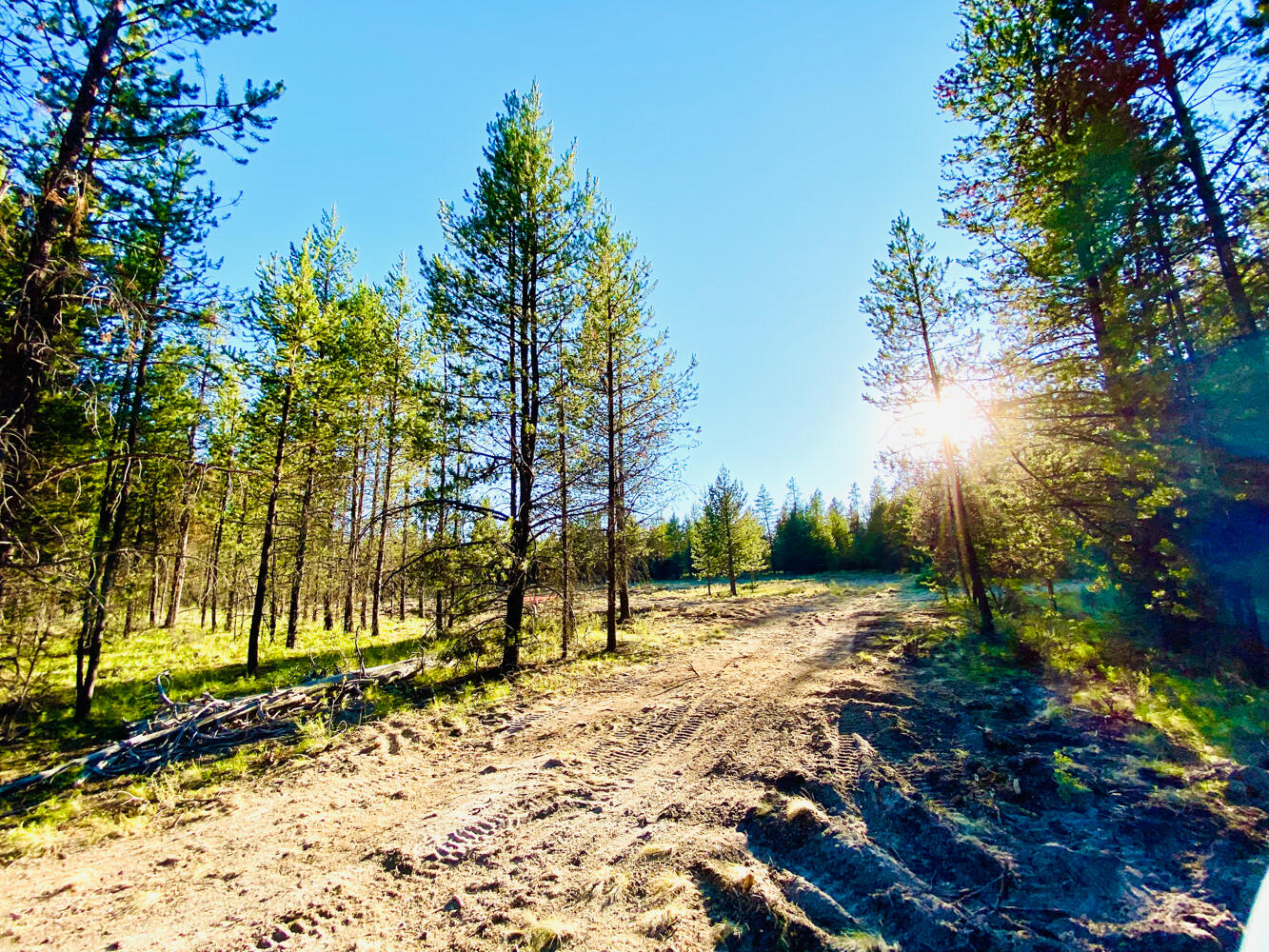 Pinewood Country Est - Land