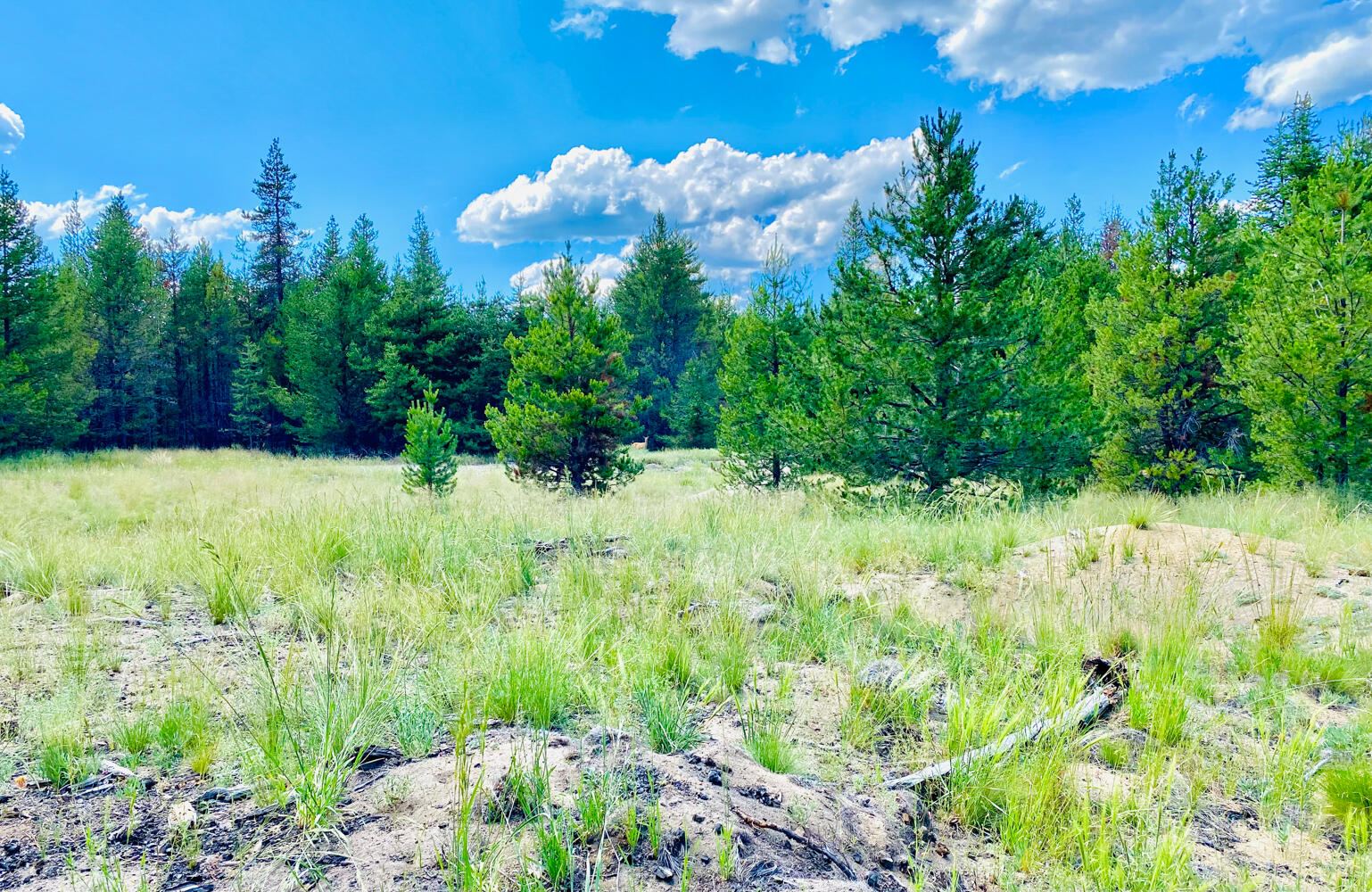 Pinewood Country Est - Land