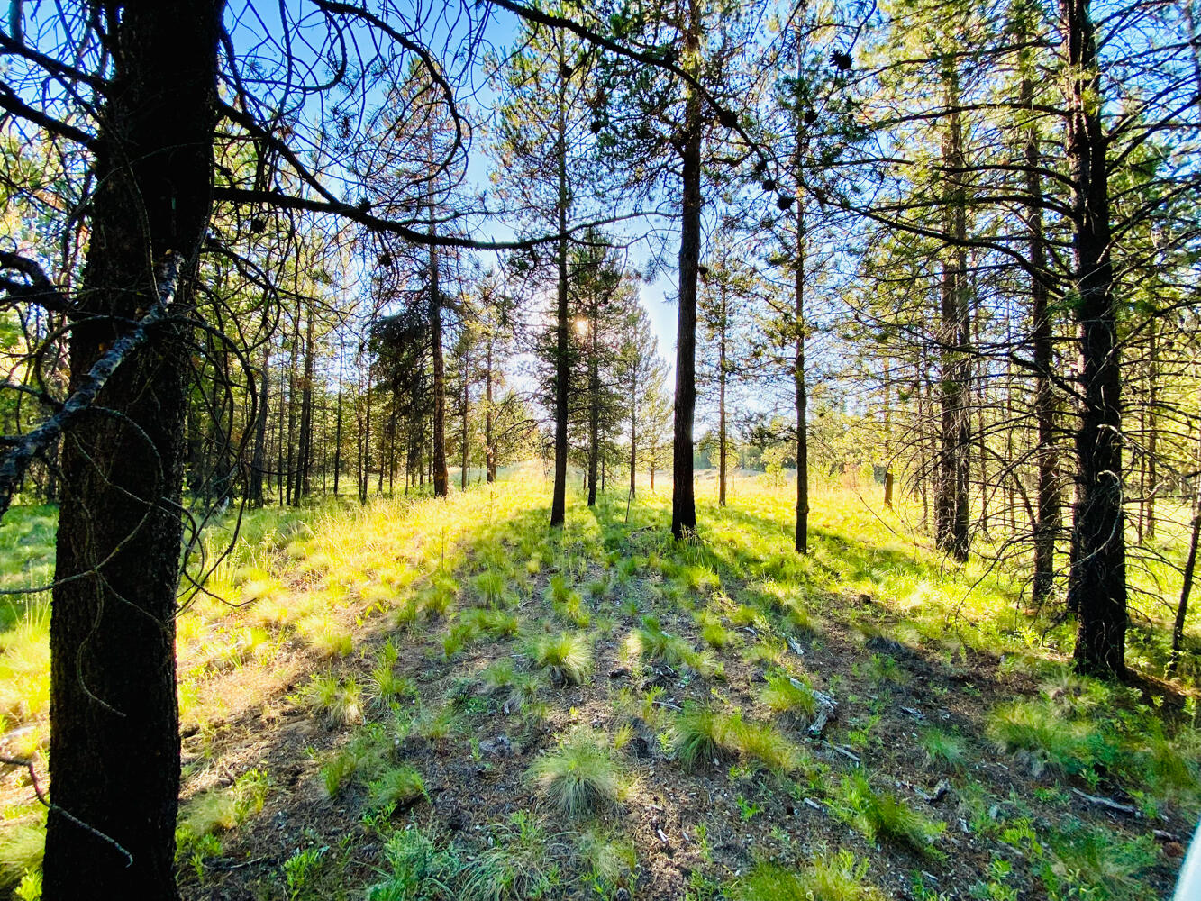 Pinewood Country Est - Land