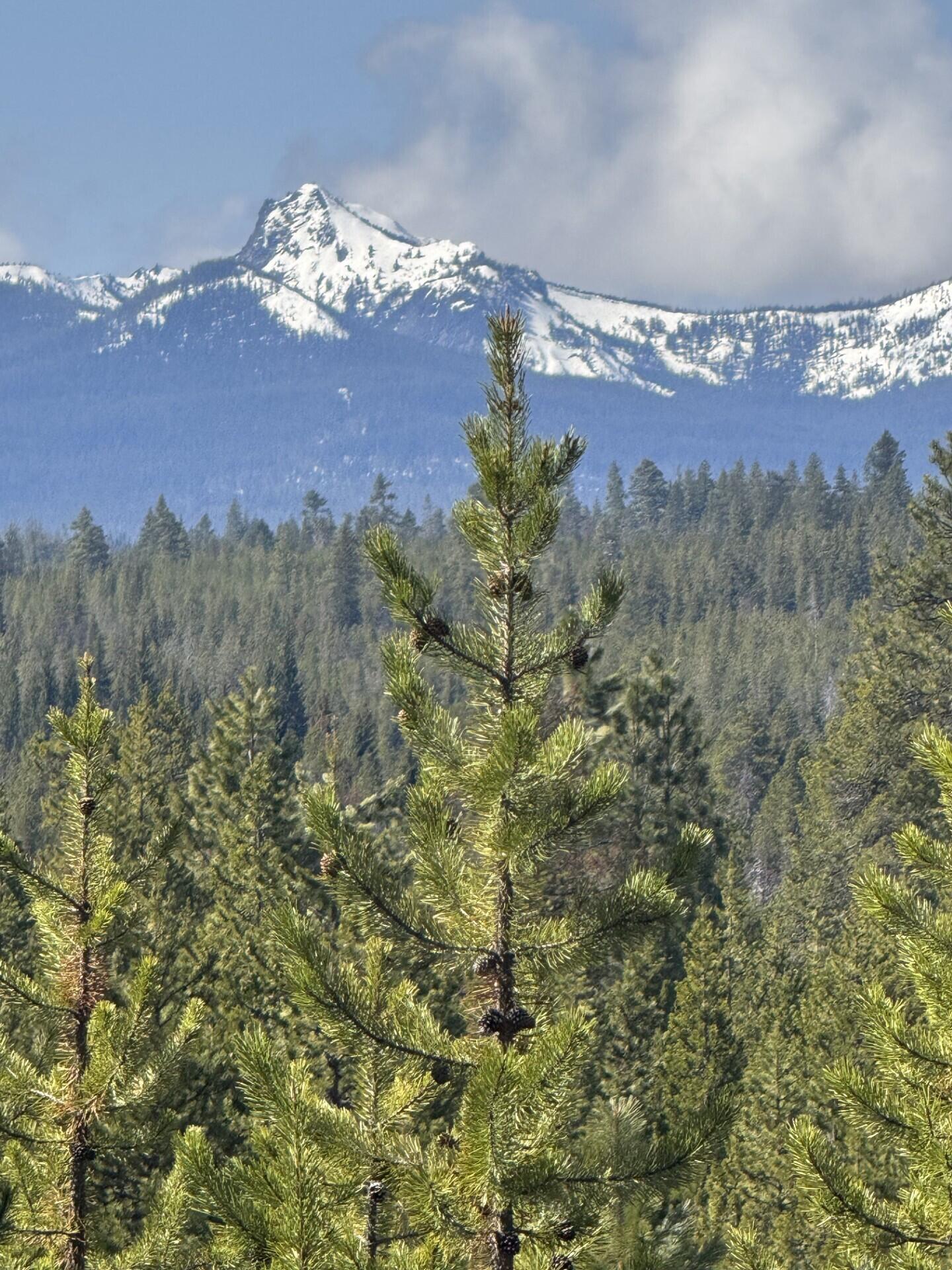Located in the Highly desirable Diamond Peaks Subdivision. This 1.06 acre lot has amazing views of the Cascade Mountains. Build your dream home or your cabin in the Mountains. Diamond Peaks offer maintained roads all year, community water, and electric at the street. You will be just a few short minutes to Crescent and Odell Lakes, Willamette Pass Ski Resort  and numerous other mountain lakes. Enjoy hiking, biking, Snow mobile and ATV riding right from your property.