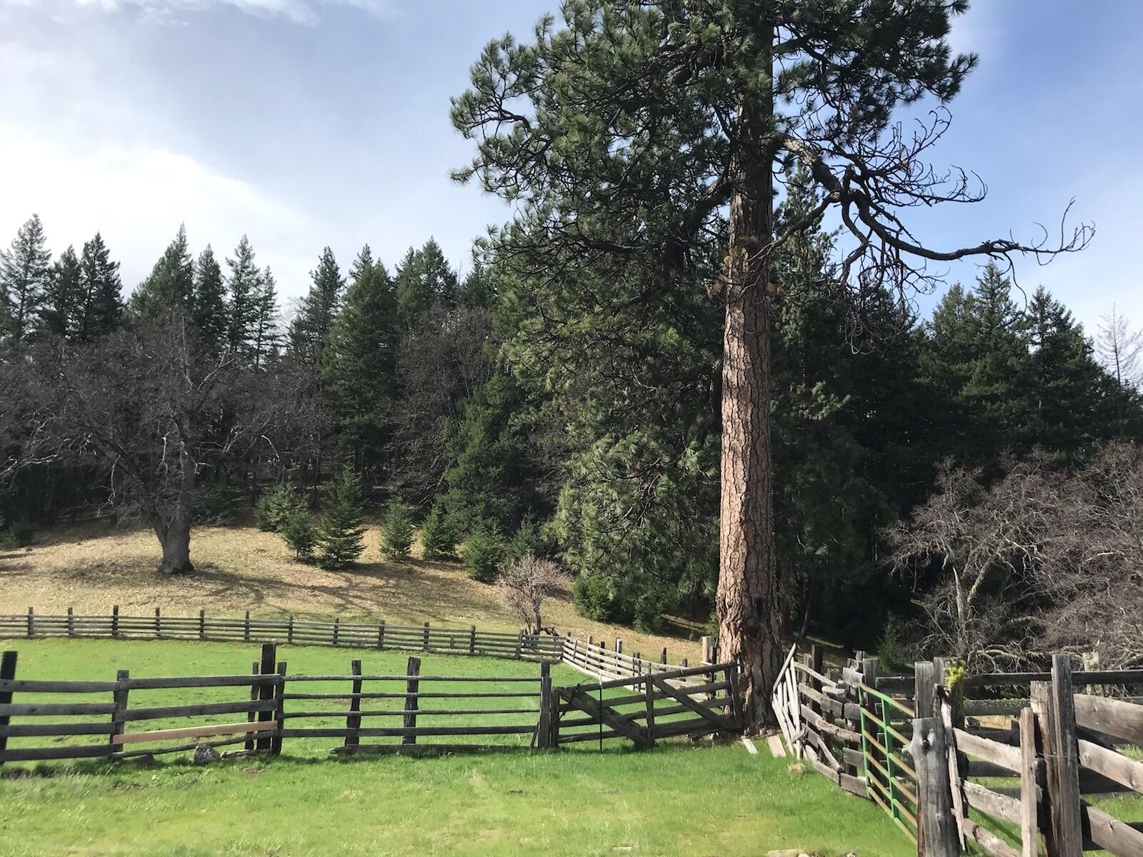 N/A - Farm