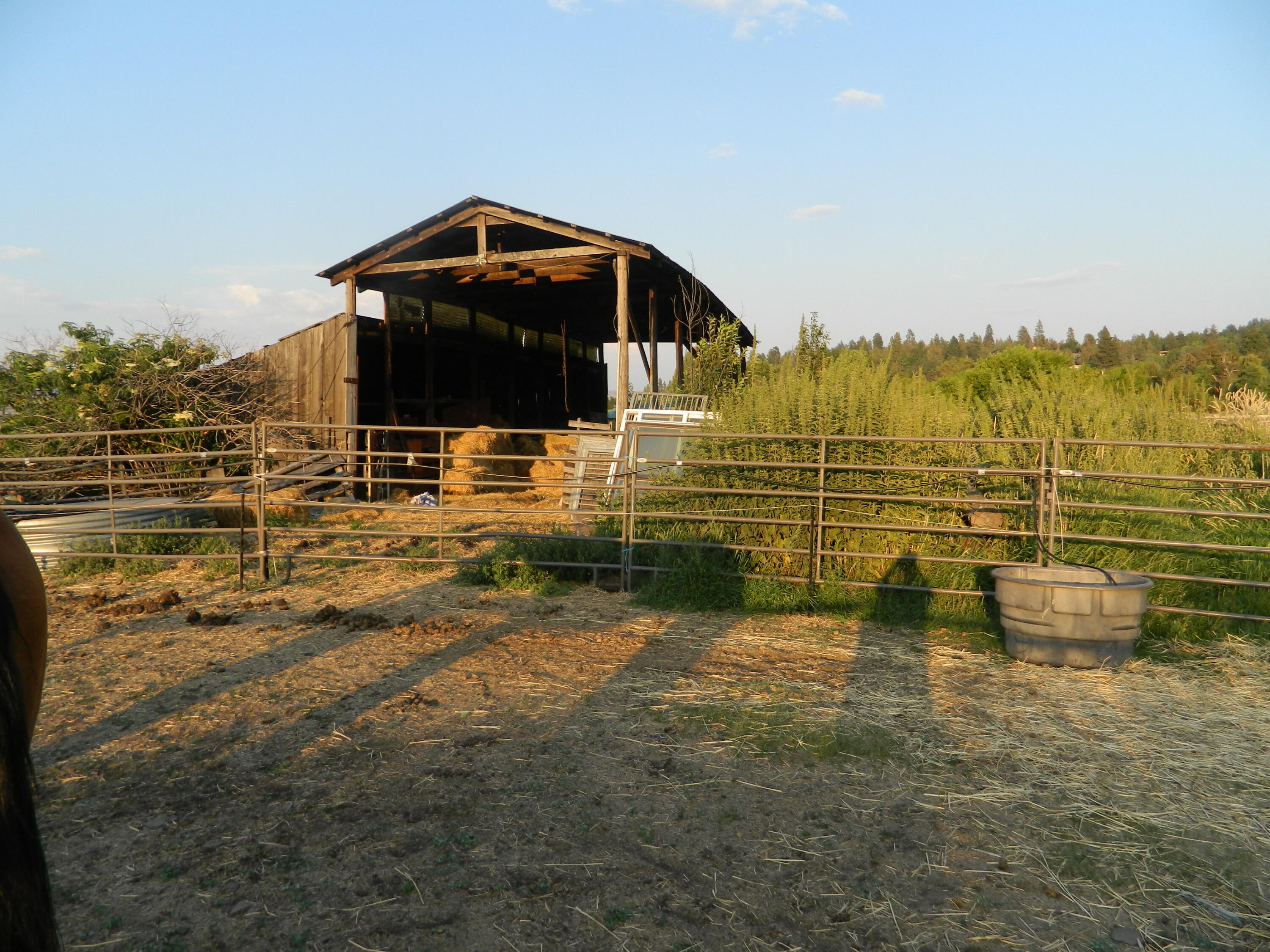 Here is a remarkable piece of property that has lake frontage. There are 3 parcels included in the sale. There is a deeded easement from Lakeshore dr. to the property. Bring your ideas and don't forget the horses