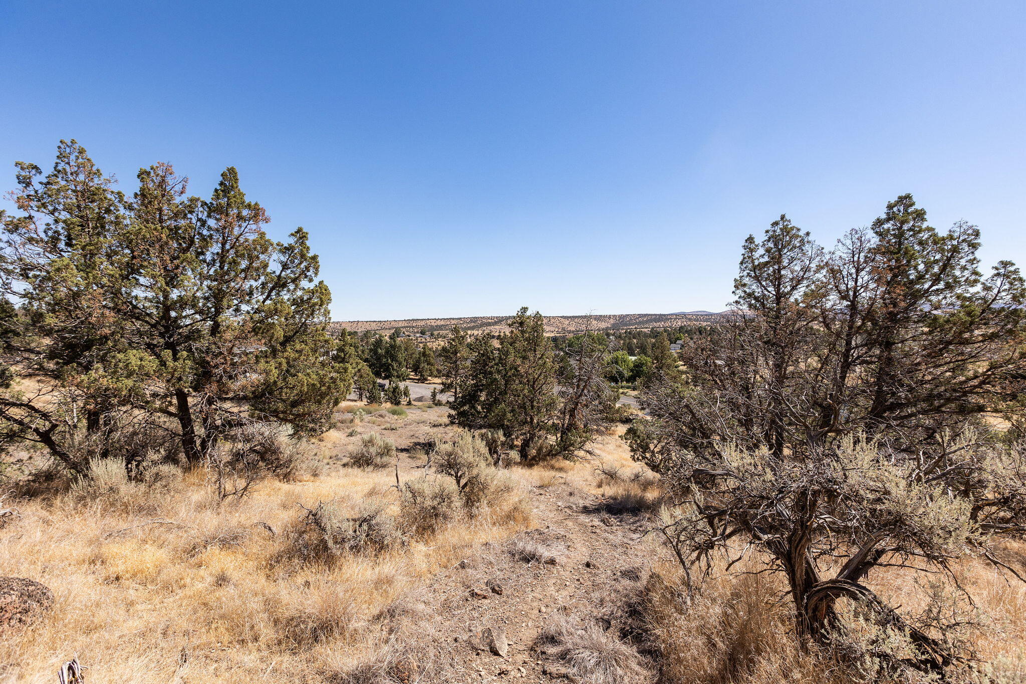 Canyon View - Land