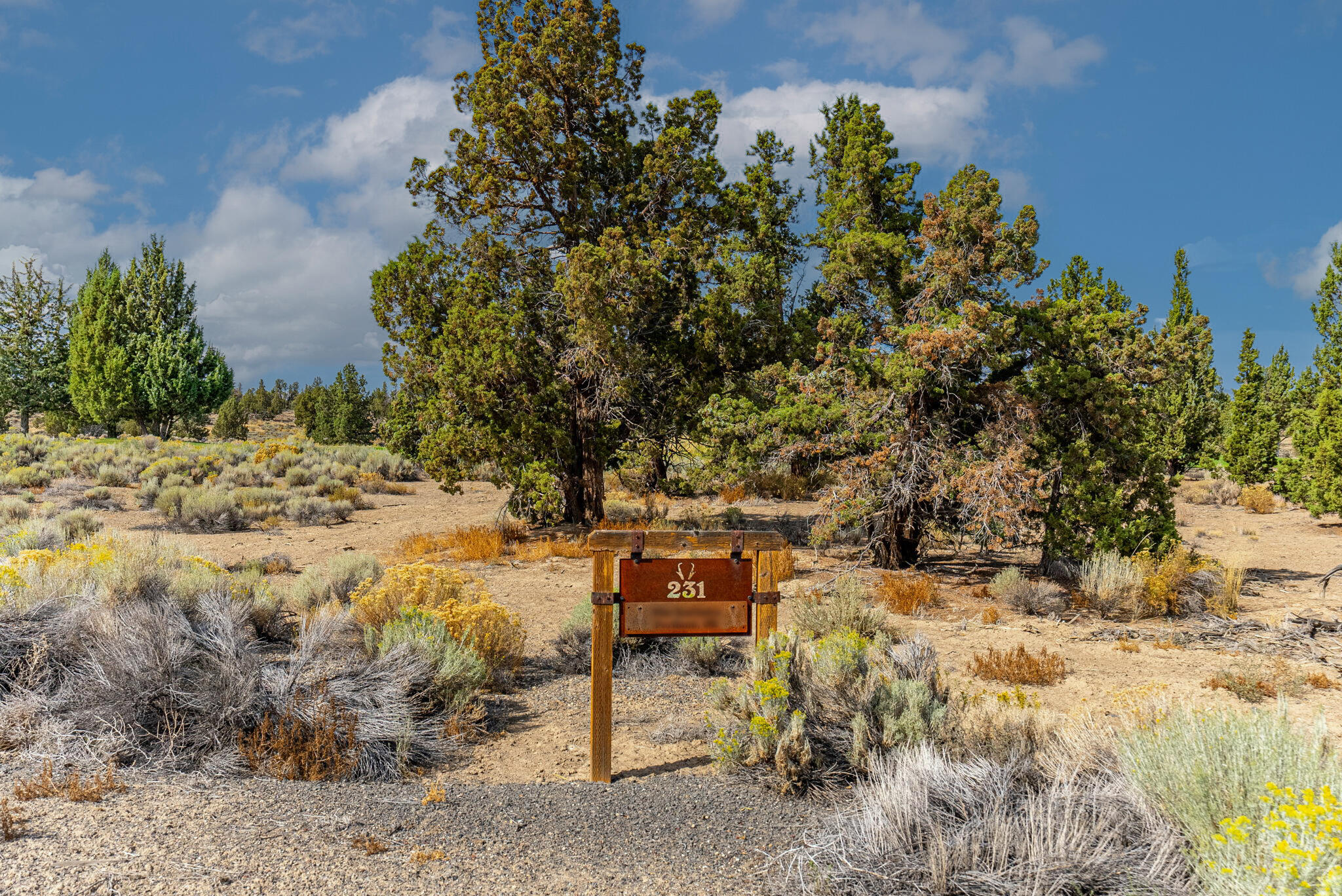 Pronghorn - Land
