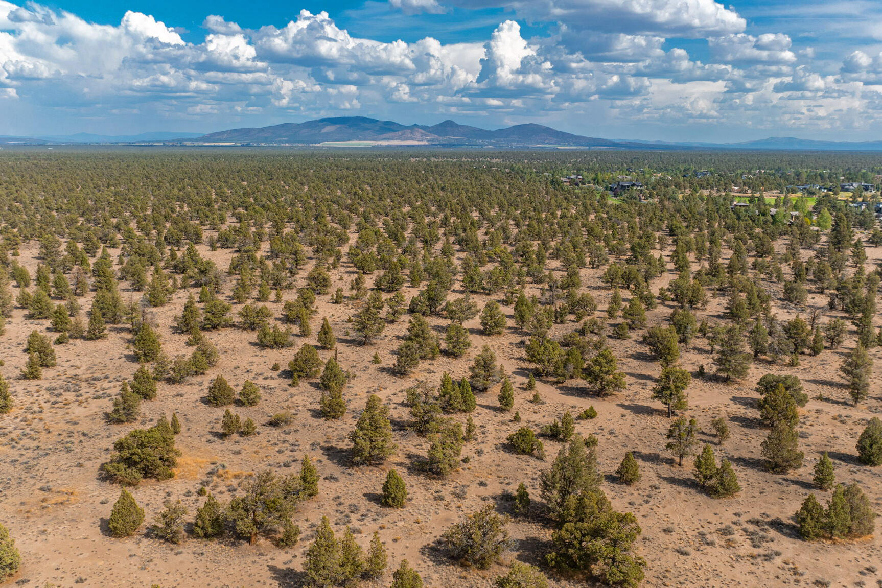 Pronghorn - Land