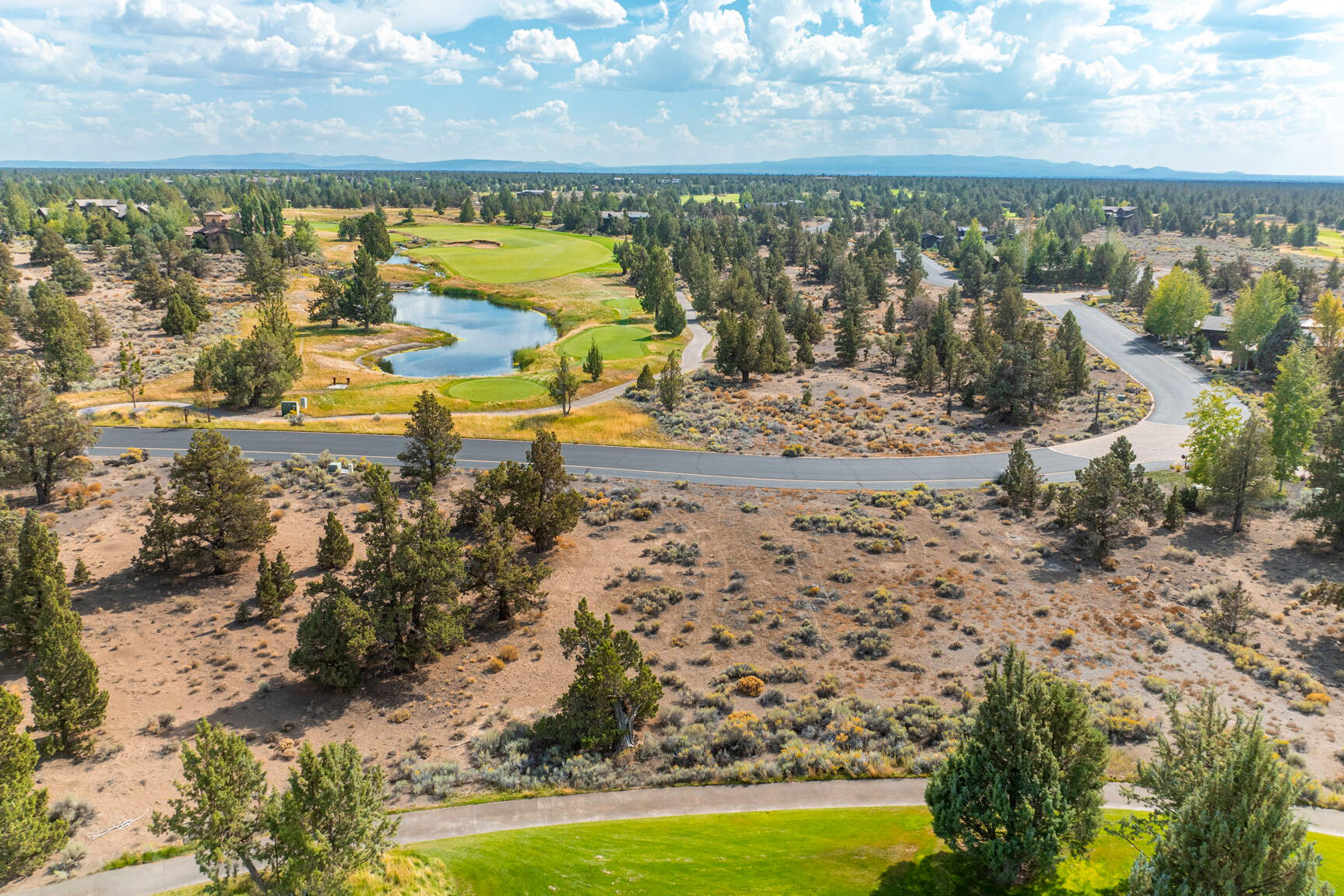 Pronghorn - Land