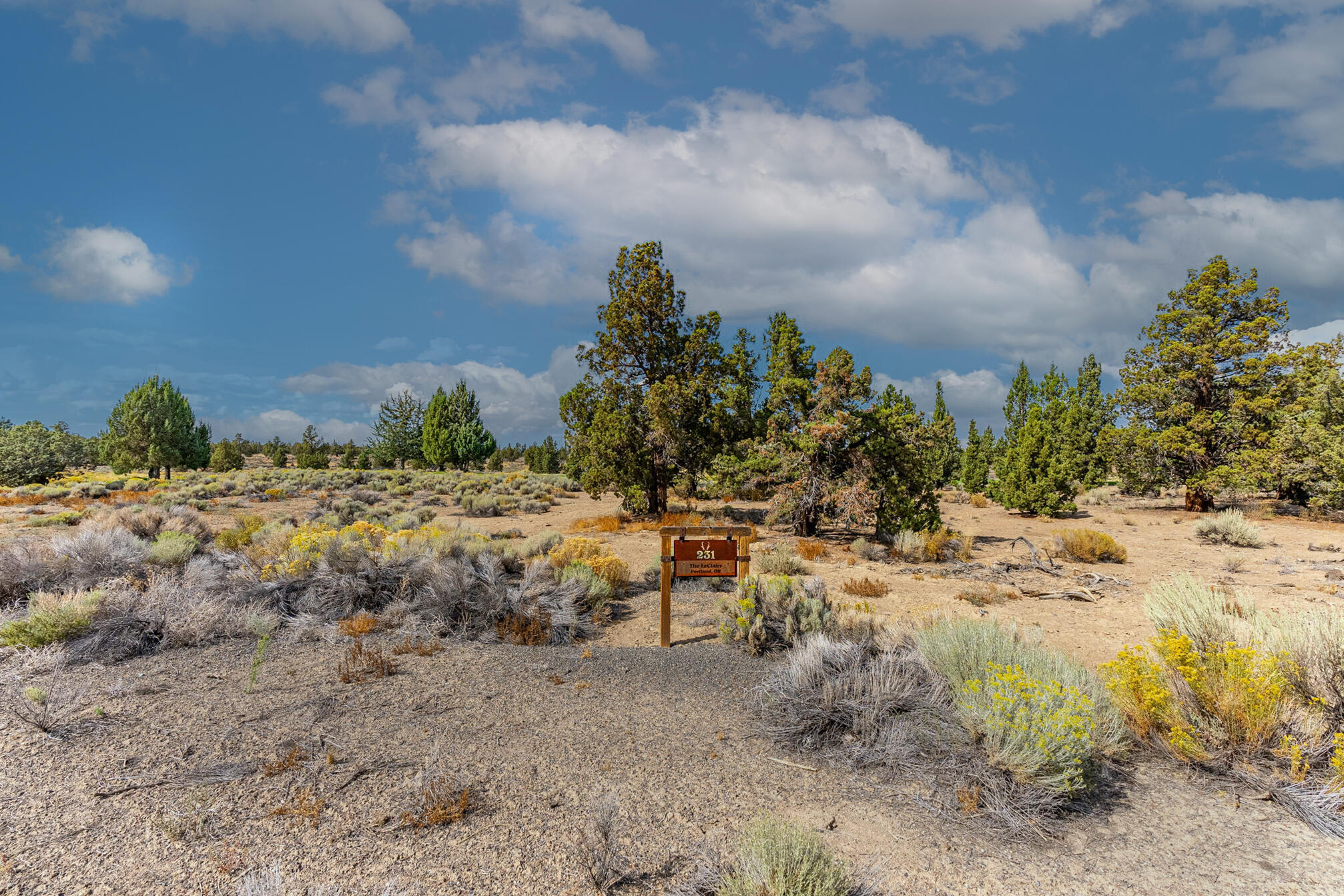 Pronghorn - Land