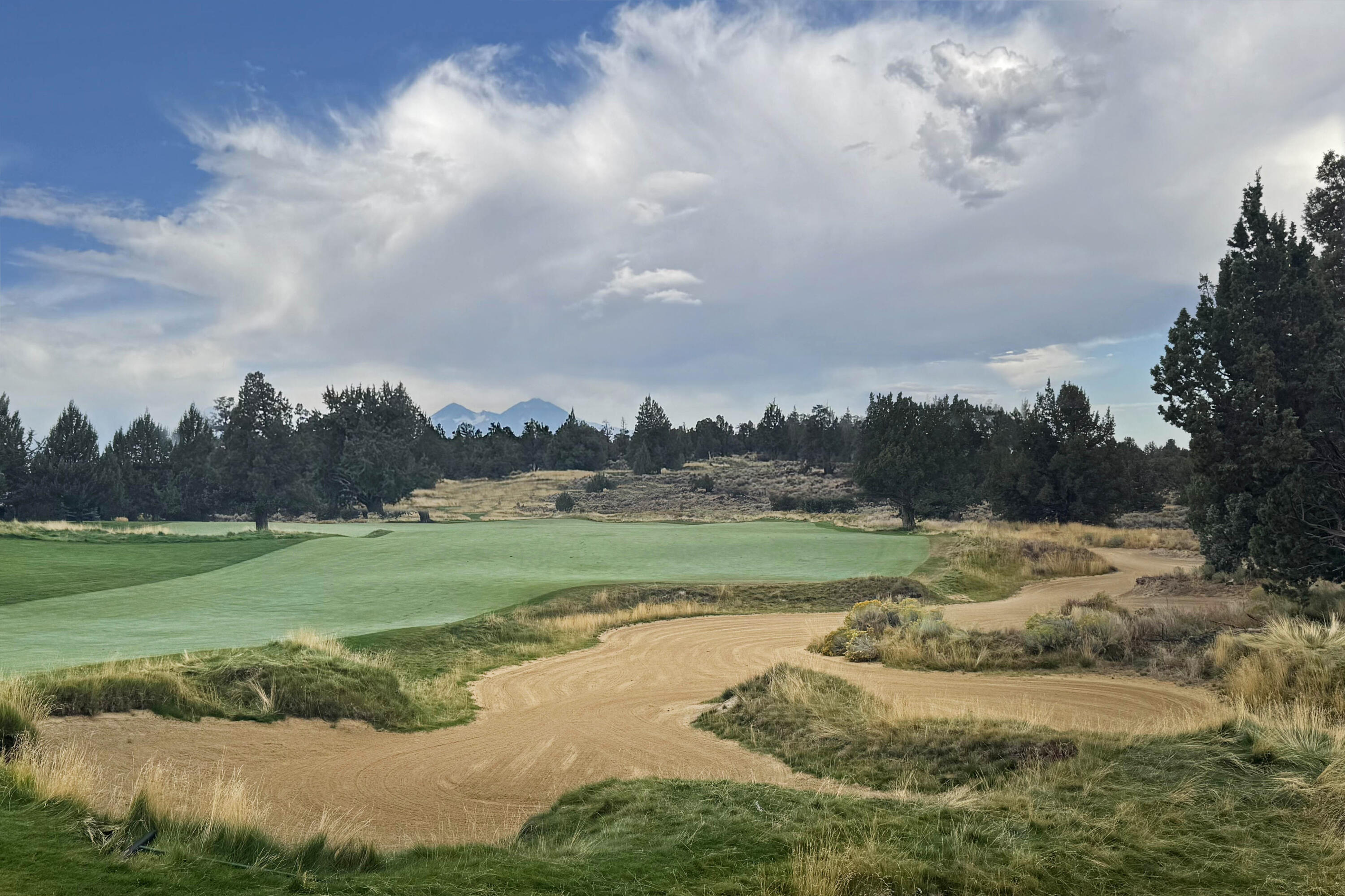 Pronghorn - Land