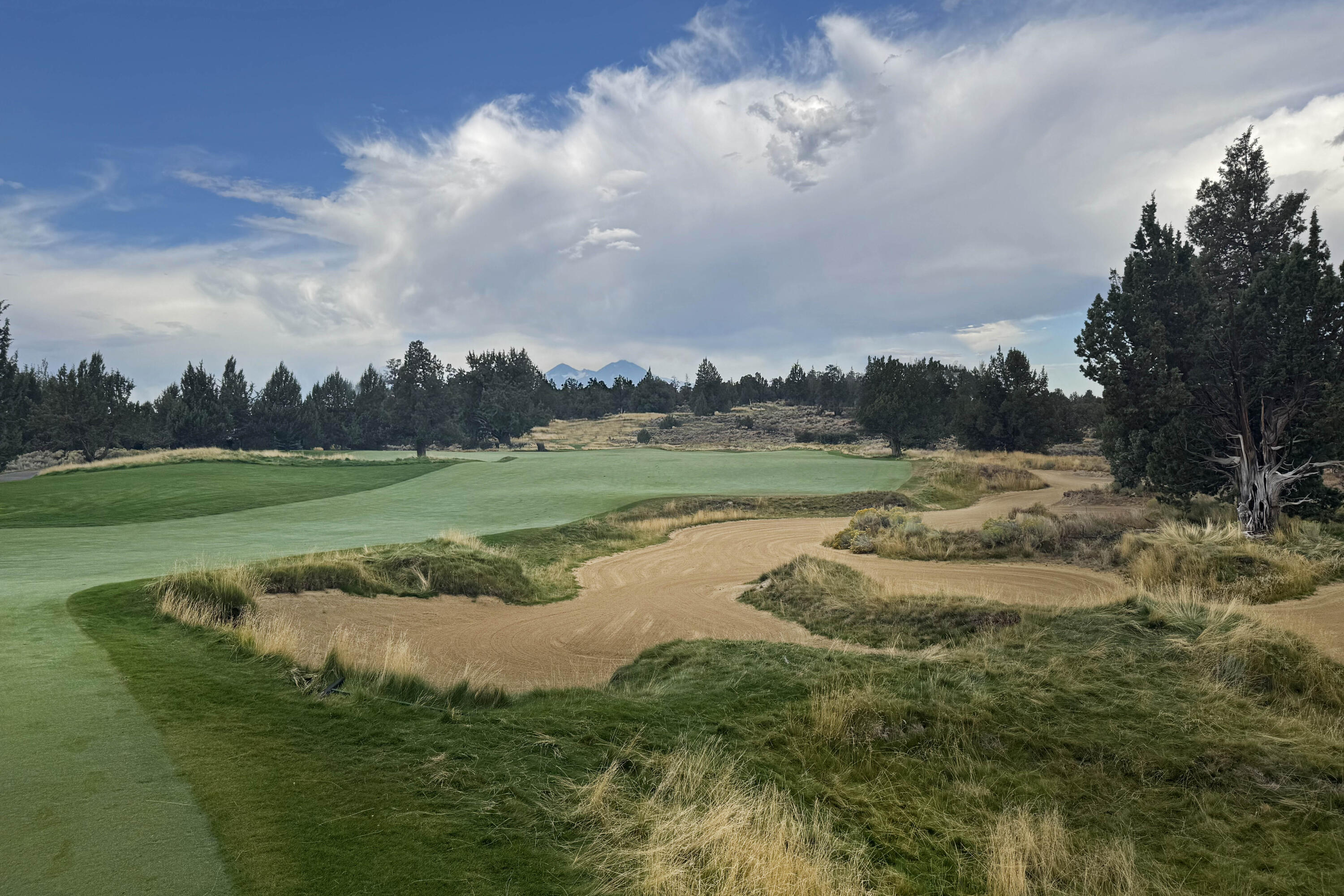 Pronghorn - Land