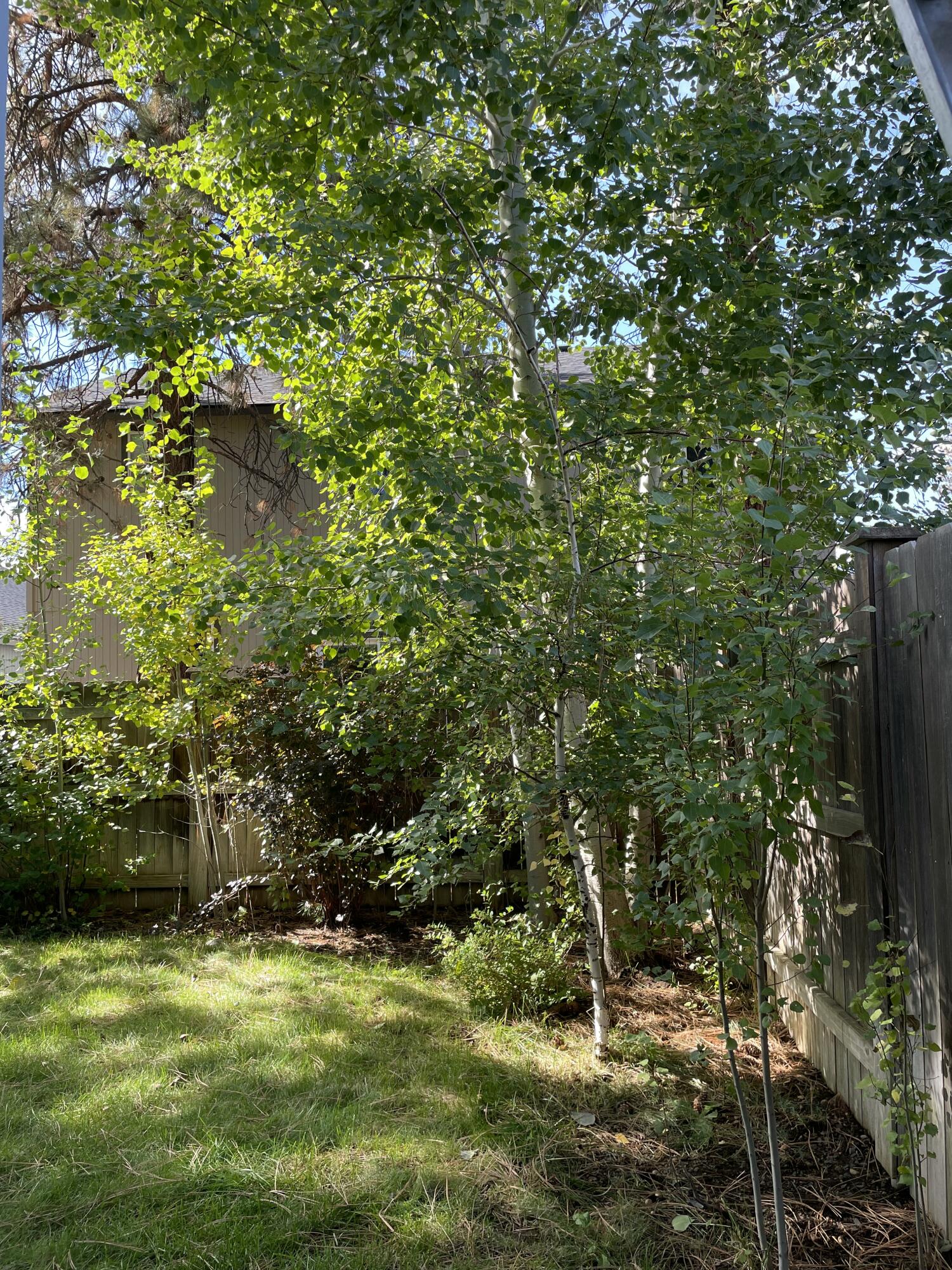 Village@Cold Springs - Residential