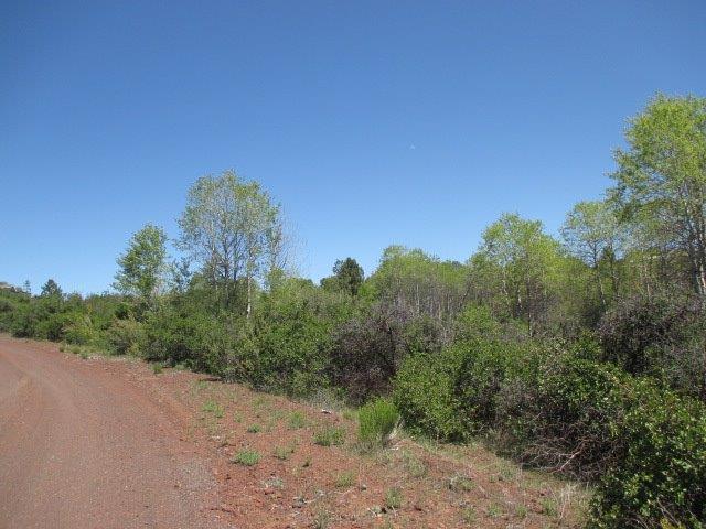 Nearly 1/3 acre with lots of vegetation and small trees. Located in an area of nice homes. Ideal location for a little cabin!