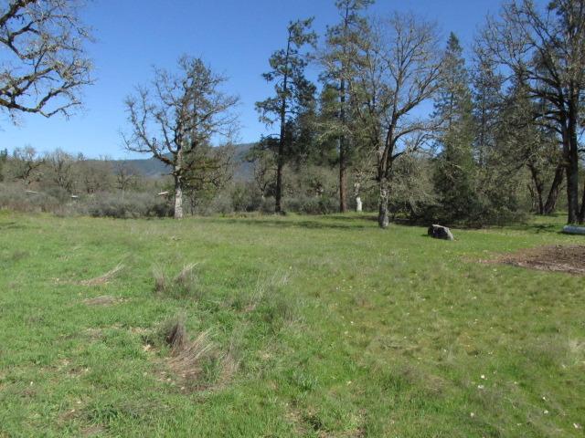 You wanted to build your home? Well, this is the land for you! Level 2.41 acre property with a seasonal creek in the North Valley. Pretty much a hop, skip and a jump to either the freeway with easy access for shopping or minutes to the gateway for the Wild and Scenic section of the Rogue River. Bring your plans, builder and don't forget the fishing pole and rafts!
