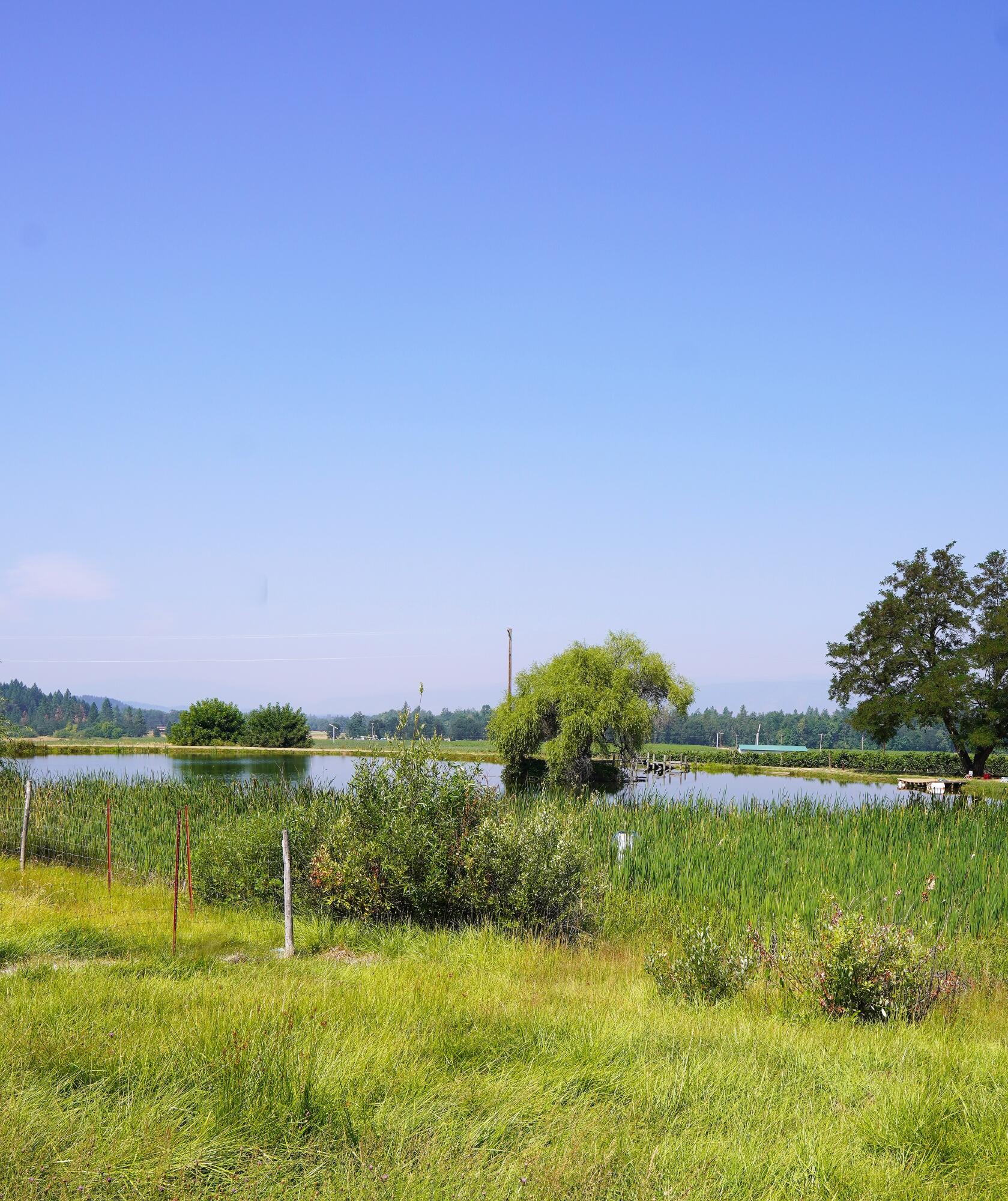N/A - Farm