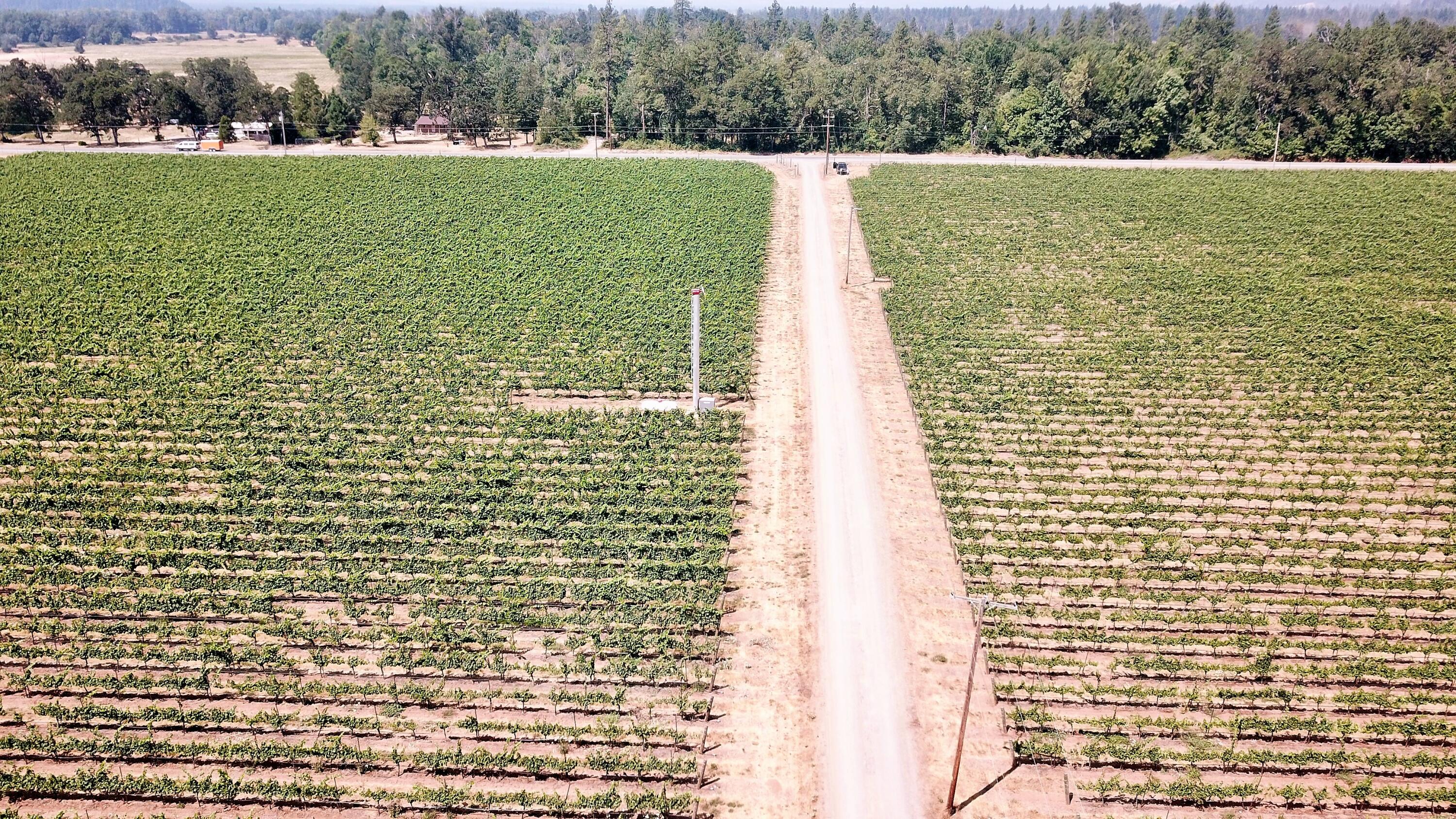 N/A - Farm