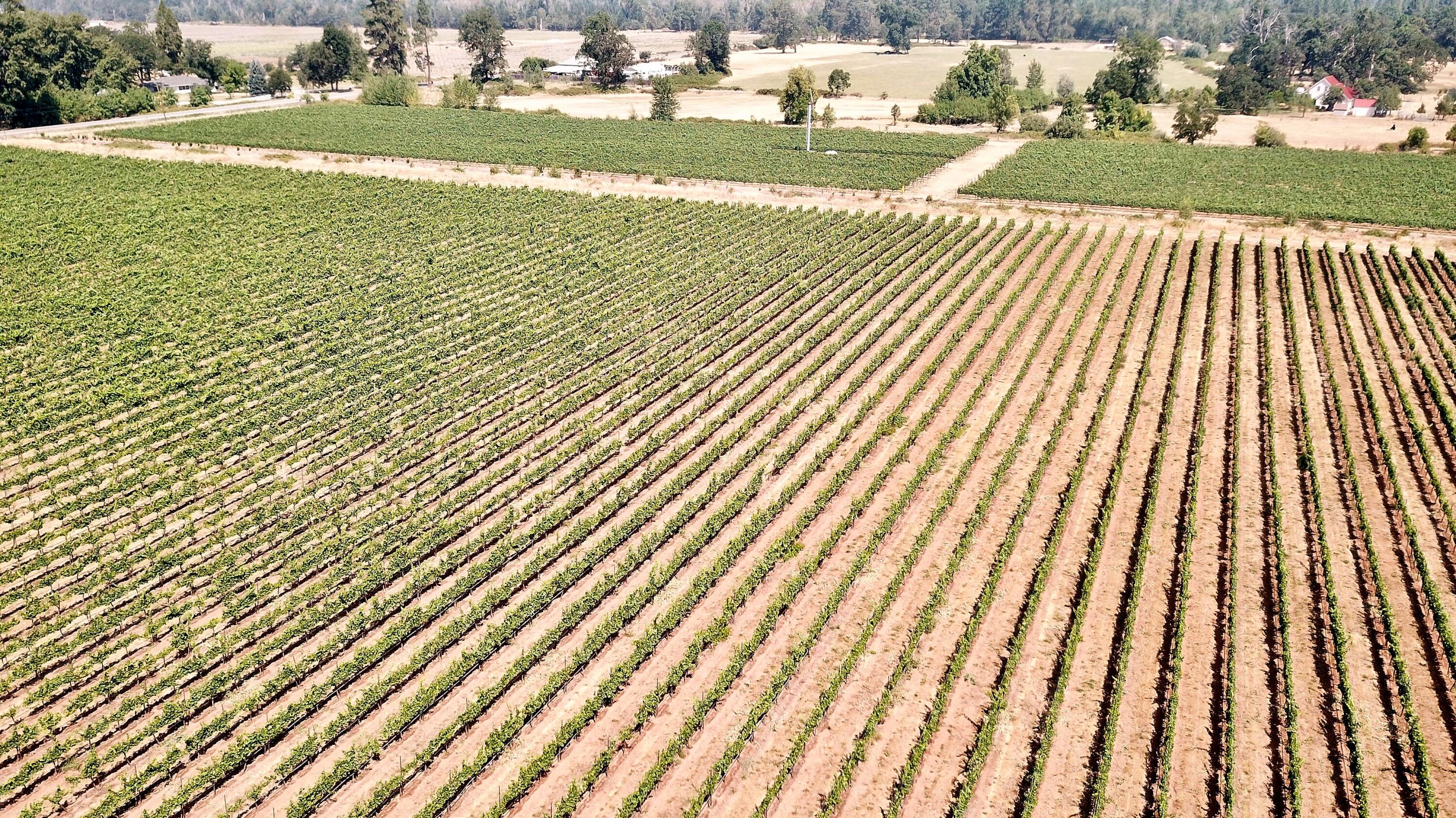 N/A - Farm