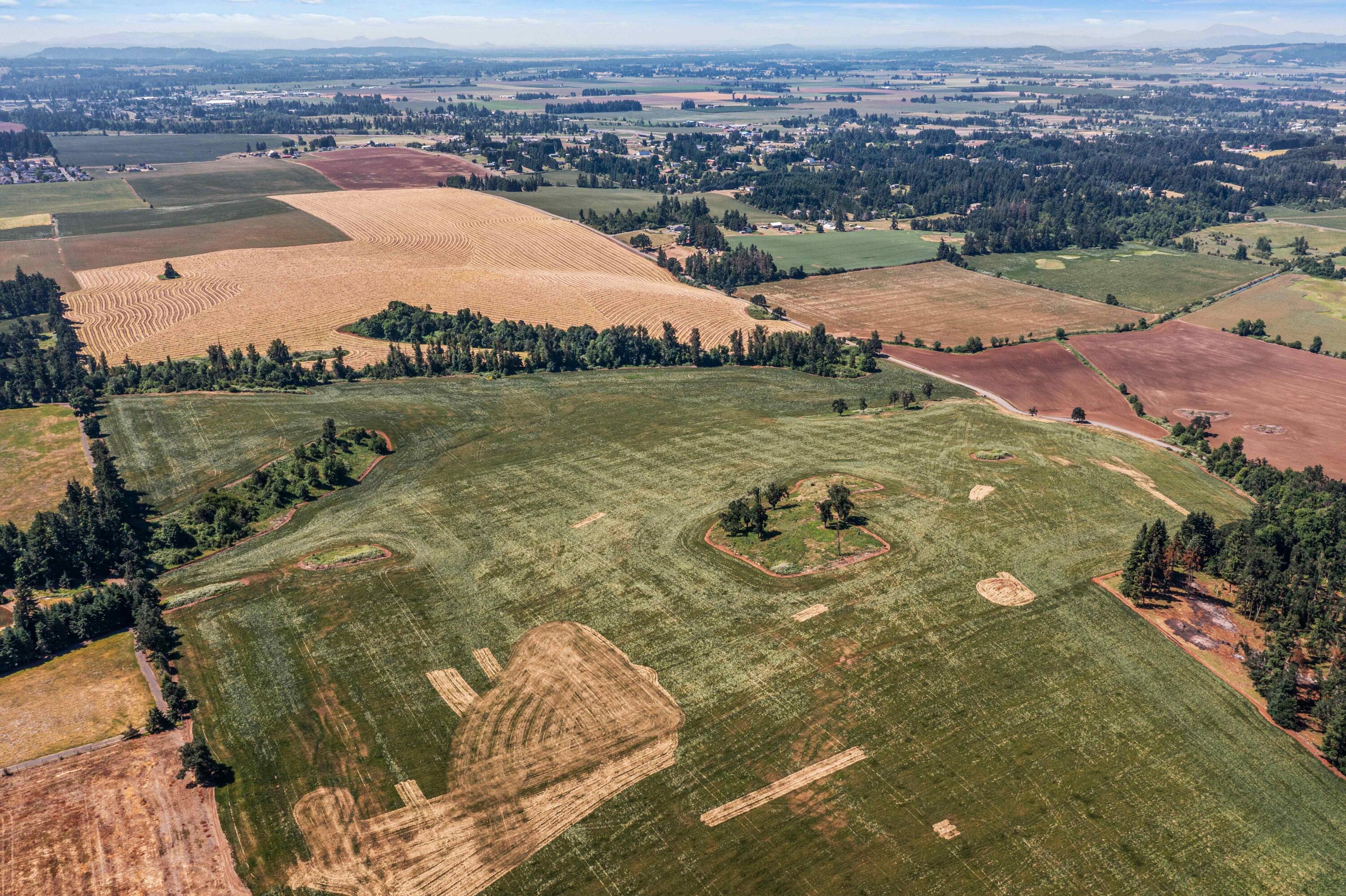 Sublimity 152 offers 152.02± acres of productive farmland just outside Sublimity, OR, with access via Anderson Road. Comprised of two tax lots, the property has been previously leased for farming and planted with perennial rye and turnip seed. Zoned EFU, it features high-quality soils: Nekia (26.3% & 14.8%), Waldo (20.5%), and Jory (17.6%) silty clay loams. Gently sloped with good drainage, it supports a variety of crops. The seasonal Beaver Creek bisects the property and supports trout. Seller states Measure 37/49 transferable homesite eligibility presenting a rare opportunity  future development potential with mountain and panoramic views (buyer to perform due diligence and confirm with county).With scenic beauty, productive soils, creek frontage, and homesite potential, Sublimity 152 is well-suited for investors, farmers, or lifestyle buyers seeking a rural holding in one of Oregon's most sought-after agricultural regions.