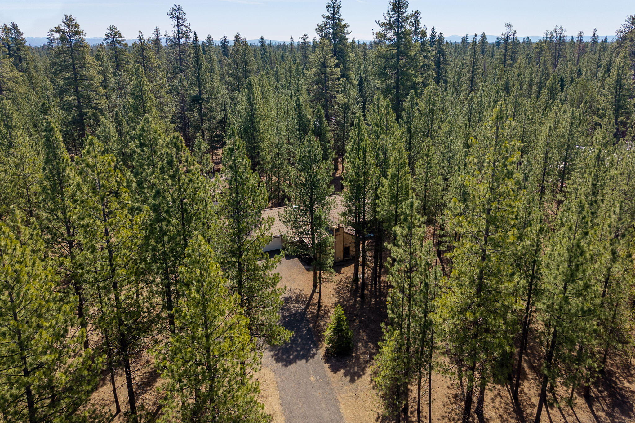 Ponderosa Pines - Residential