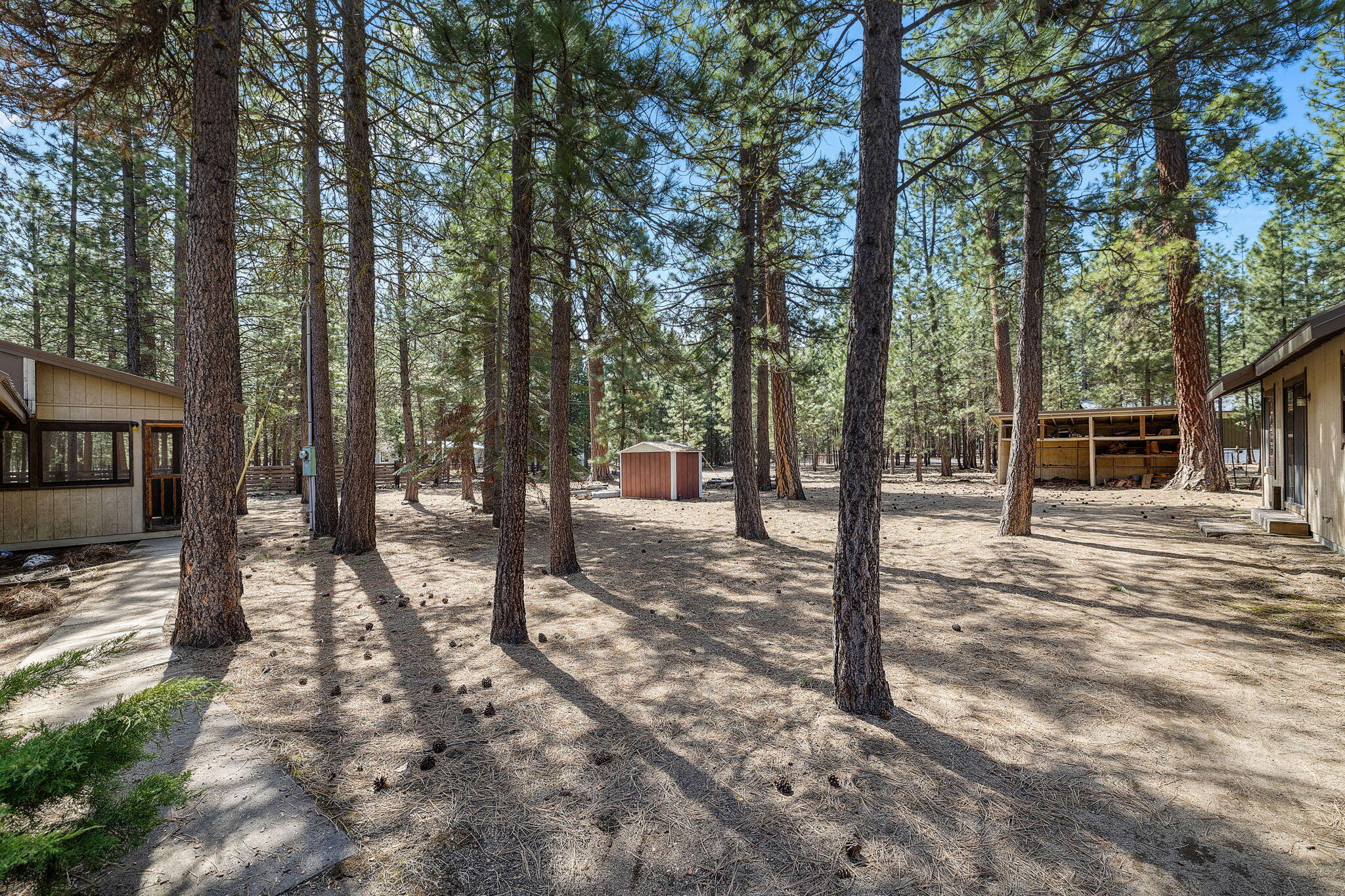 Ponderosa Pines - Residential