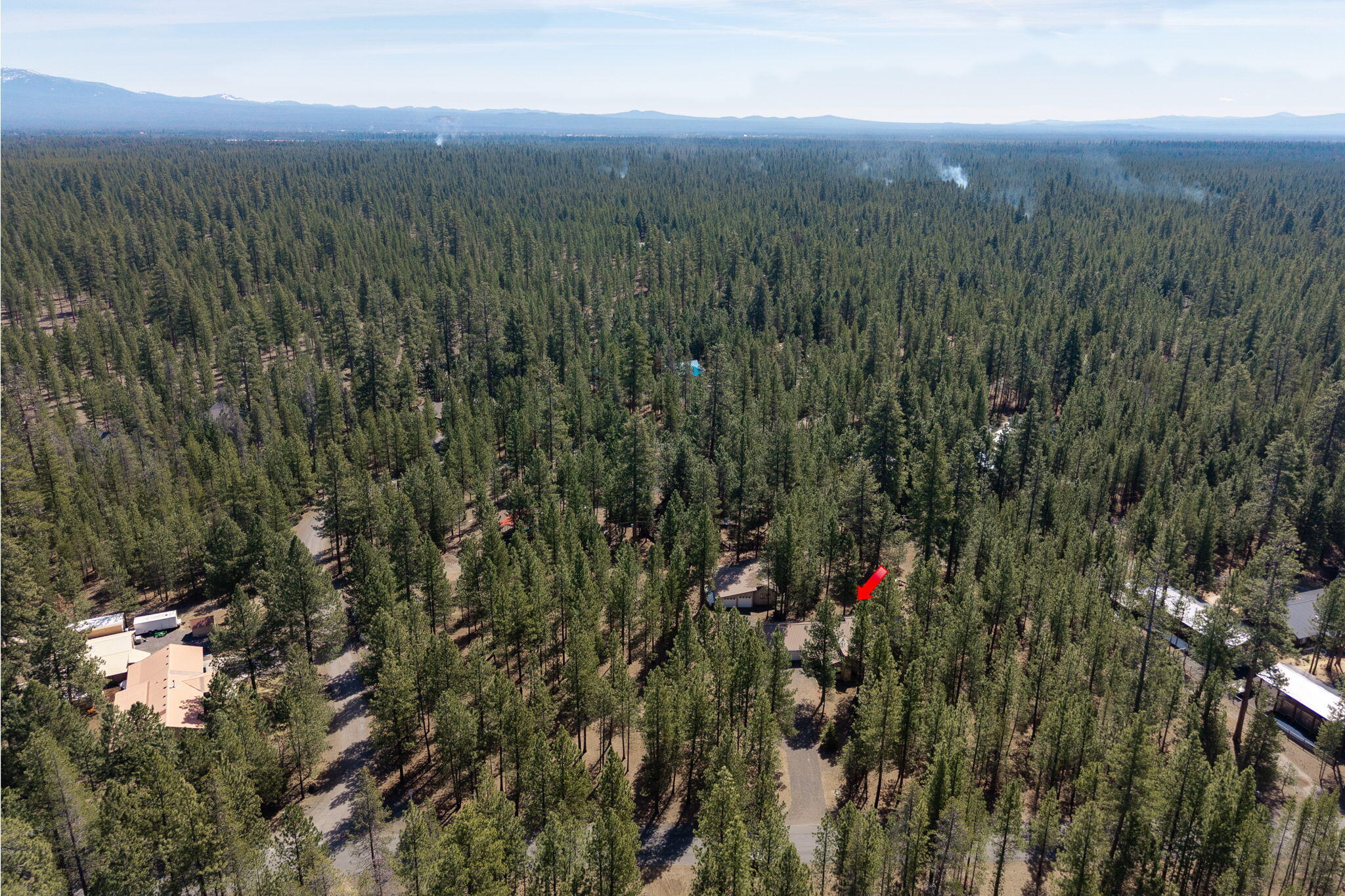 Ponderosa Pines - Residential