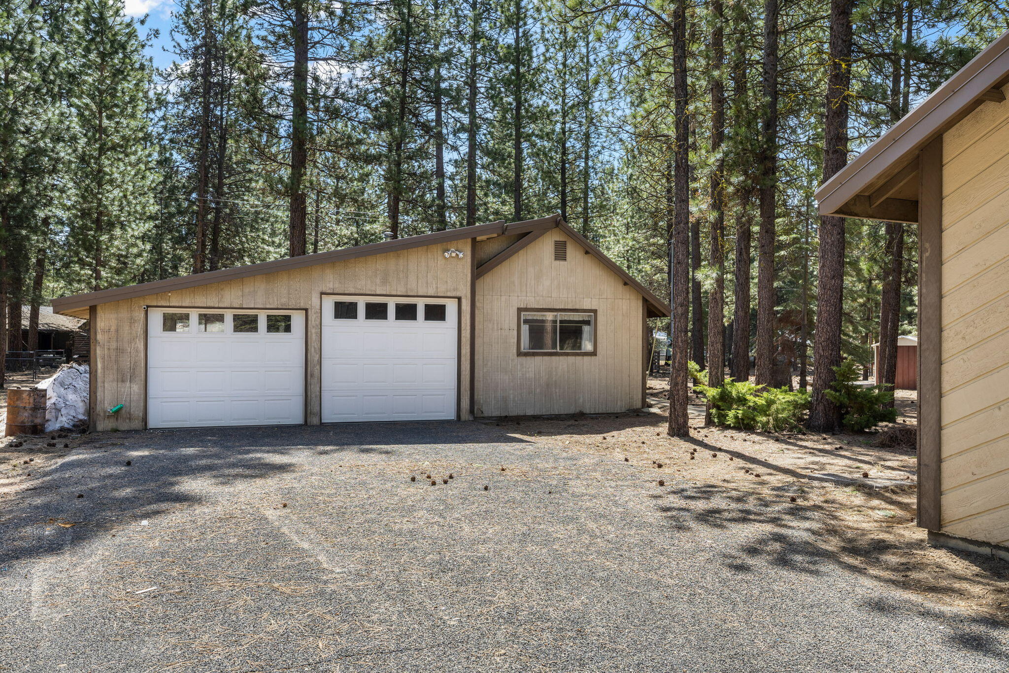 Ponderosa Pines - Residential