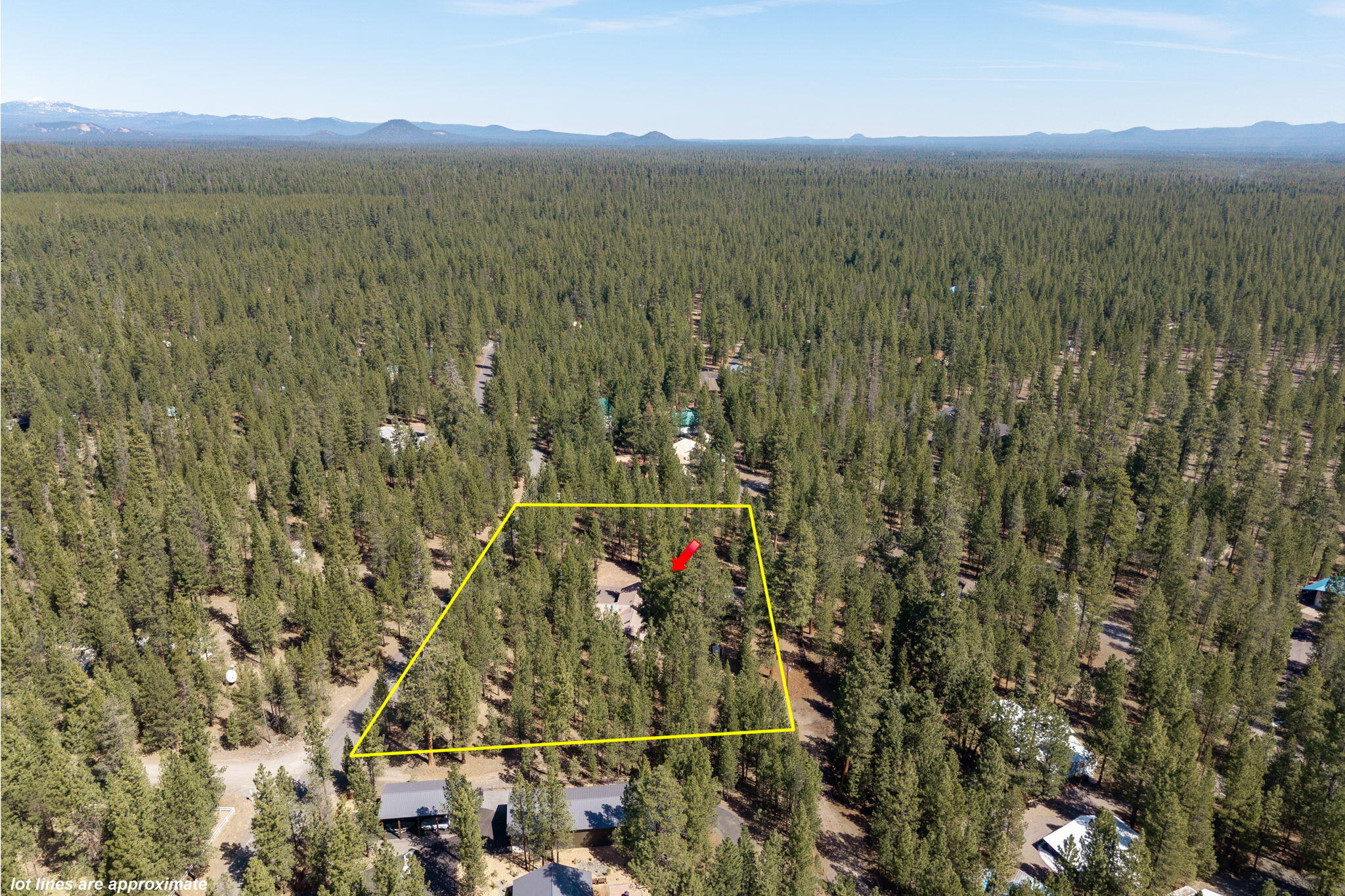 Ponderosa Pines - Residential