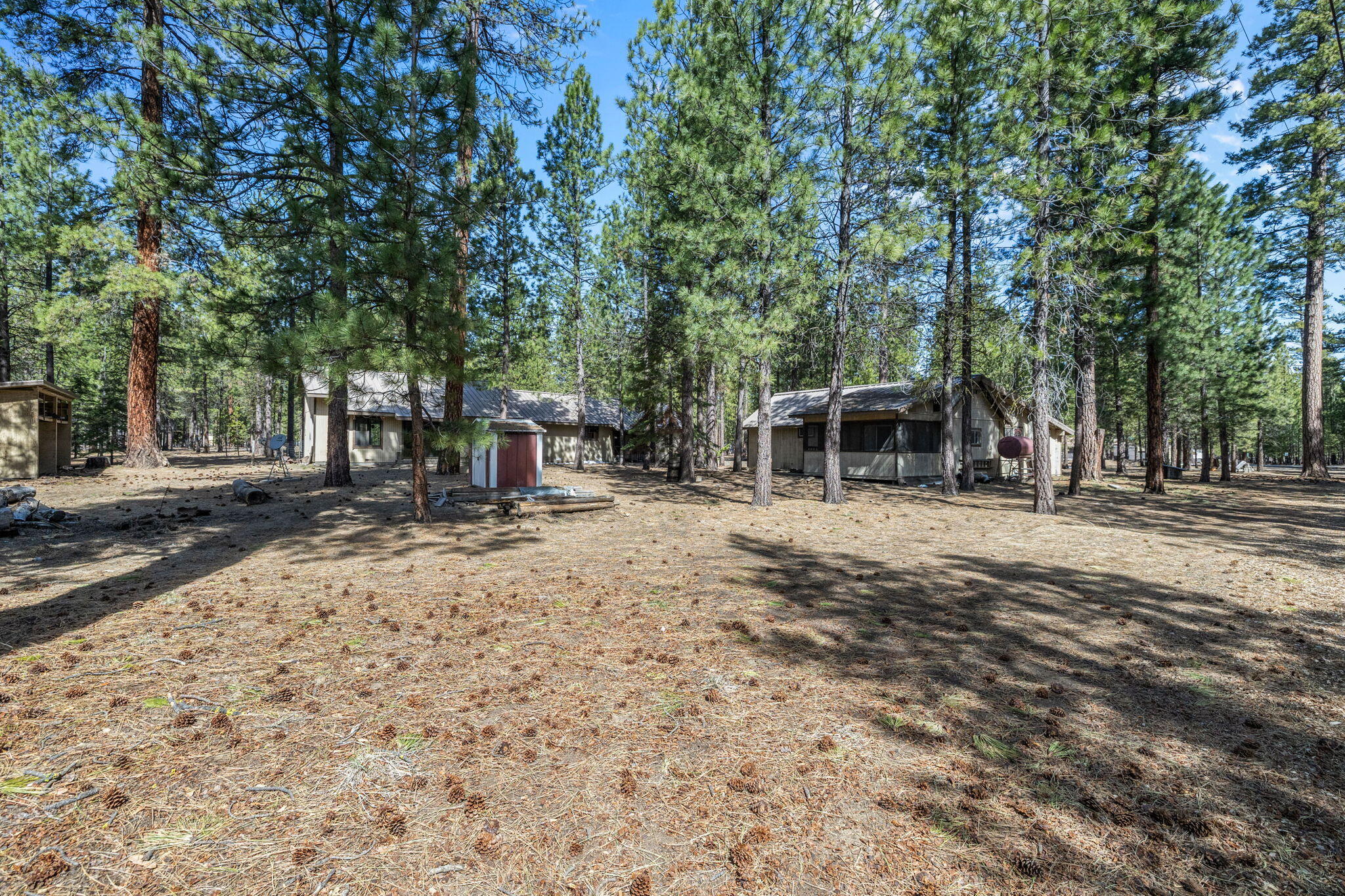 Ponderosa Pines - Residential